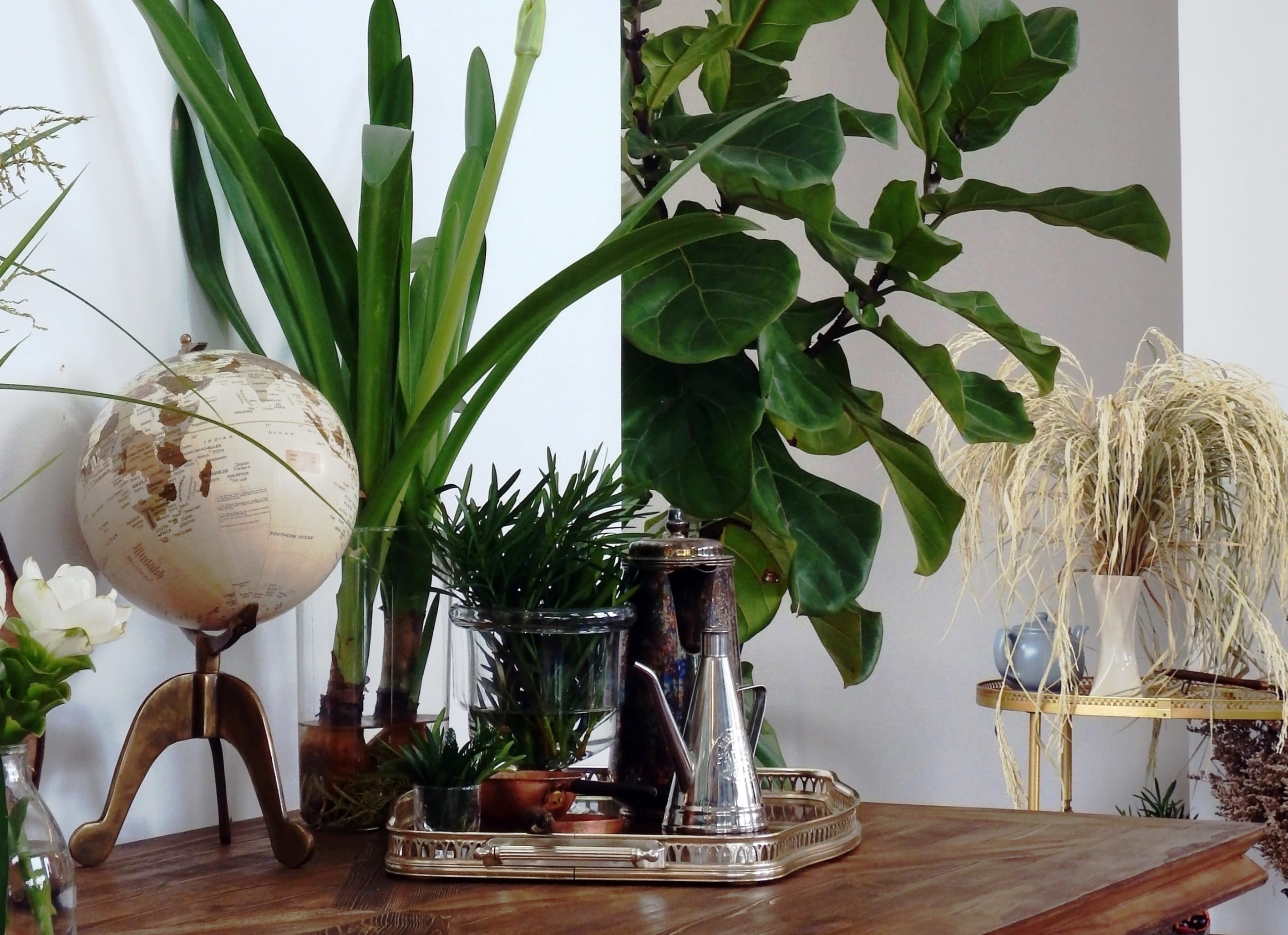 nobody, plants, tea pot, home interior, silver, objects, table, leaf, container, tea, classical, antiques, glass - material, wood - material, vintage, world, HD Wallpaper