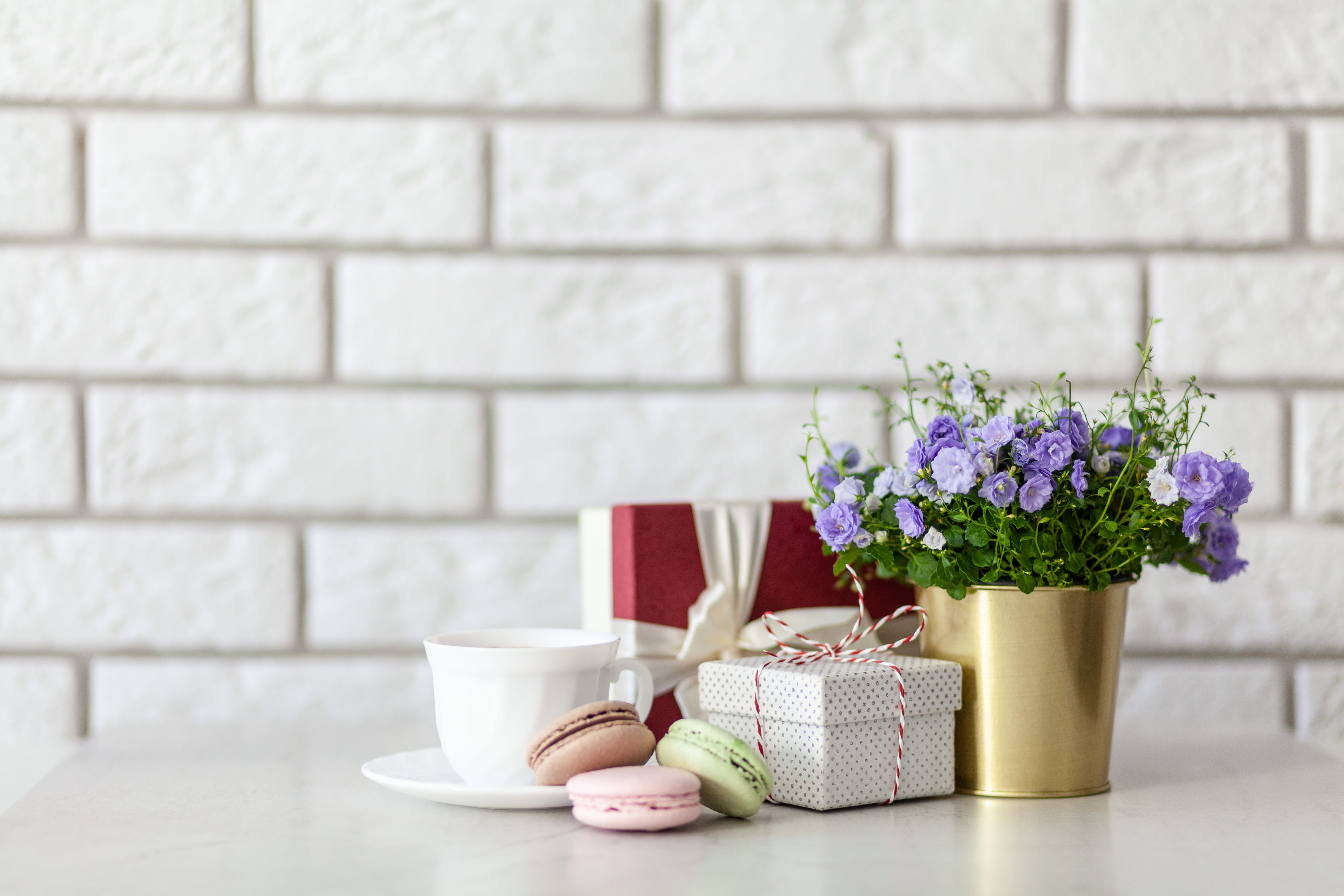 petals, ceramic cup, desk, day, interior design, violet, white, wall, flower arrangement, table, no people, vase, still life, drink, brick, container, flowers, HD Wallpaper