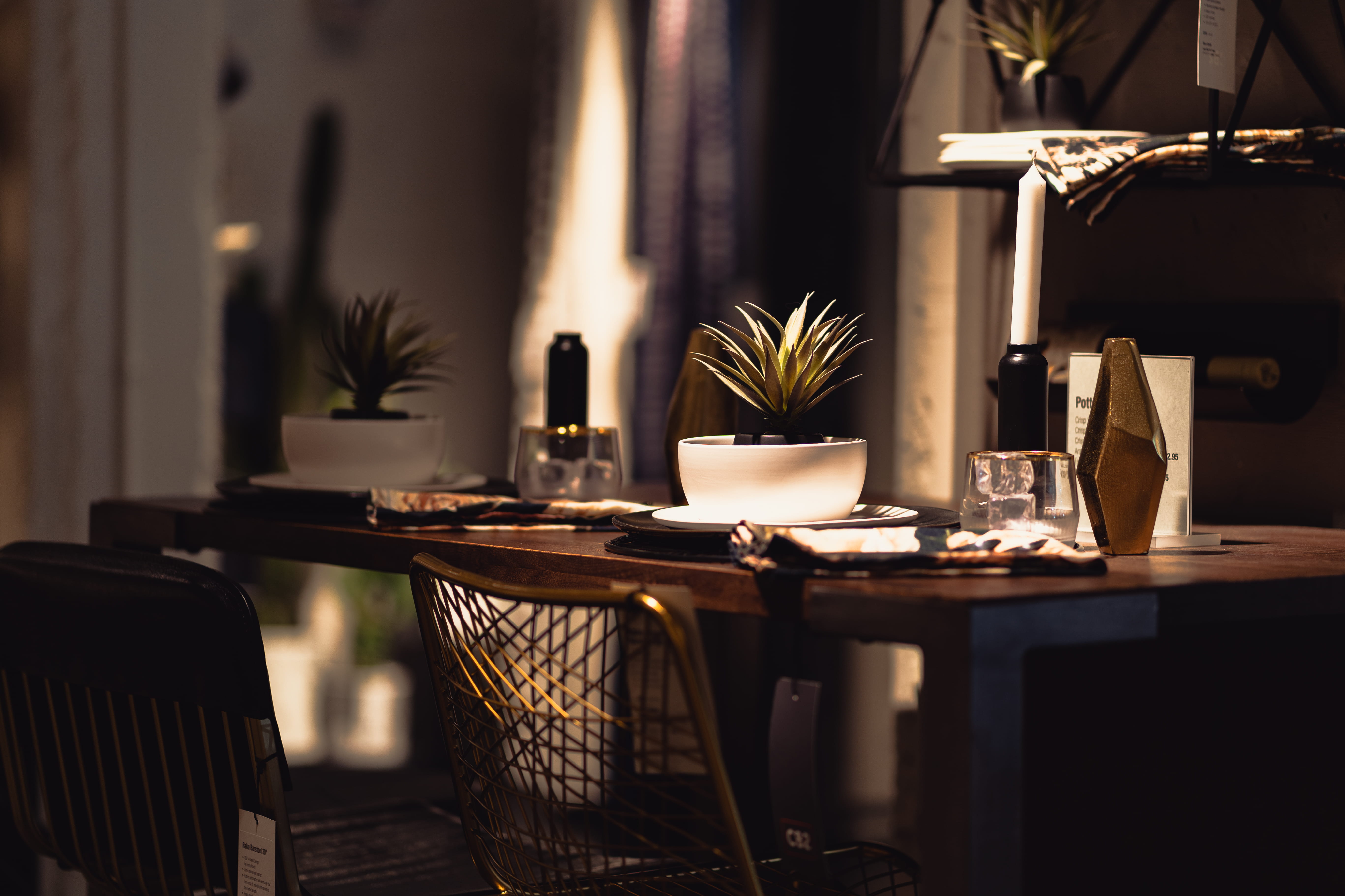 focus, potted plant, chair, table, empty, selective, business, place setting, indoors, seat, household equipment, canada, interior design, 5K, dining room, HD Wallpaper
