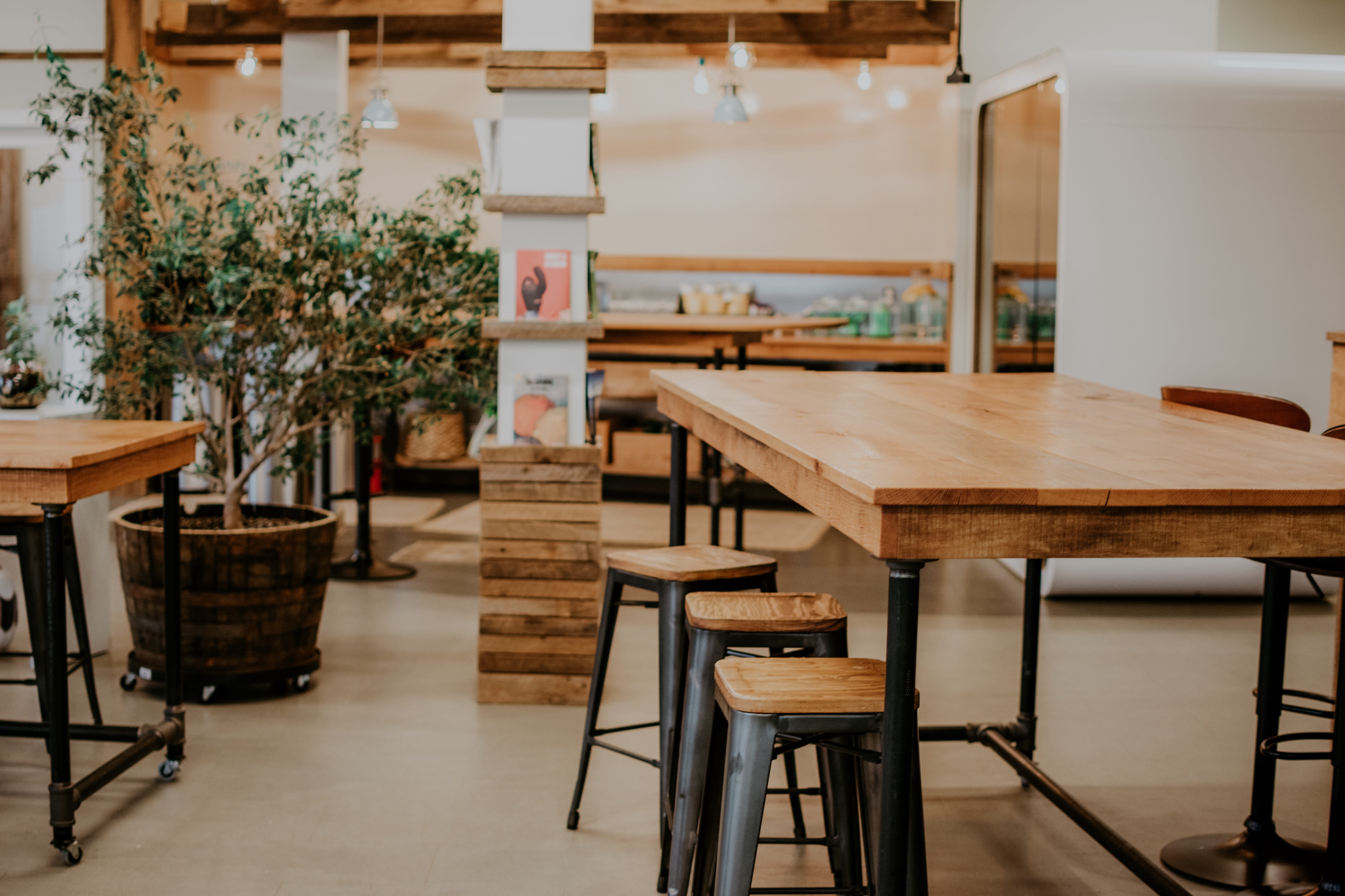 tabletop, no people, dining table, restaurant, cafeteria, chair, living room, cafe, still life, room, bar stool, day, potted plant, wood - material, plant, HD Wallpaper