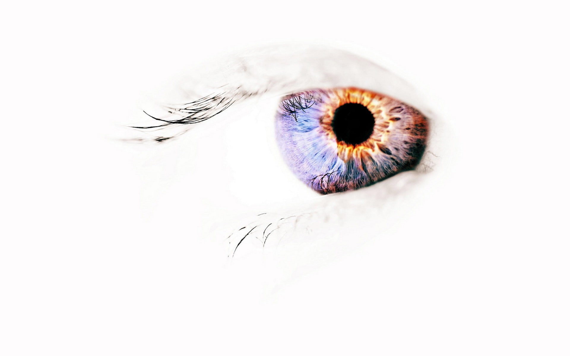 young adult, eyeball, eye, studio shot, portrait, cut out, body part, human body part, people, human face, extreme close-up, eyesight, human eye, sensory perception, HD Wallpaper