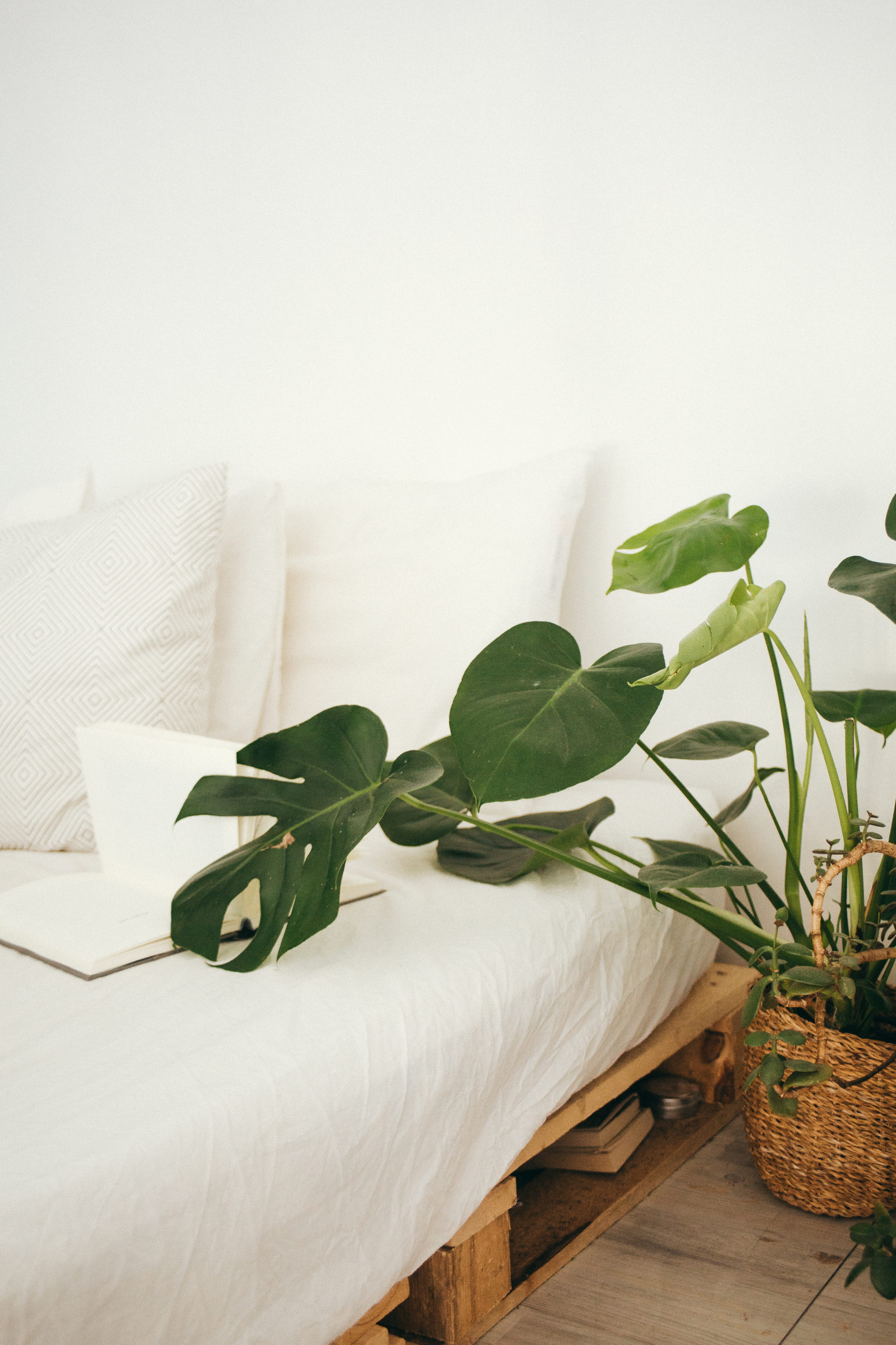 living room, relaxation, modern, wood, cozy home, houseplant, lance, plant, green, pillow, 5K, flower, comfortable, brown, morning, domestic room, indoors, Phone HD Wallpaper