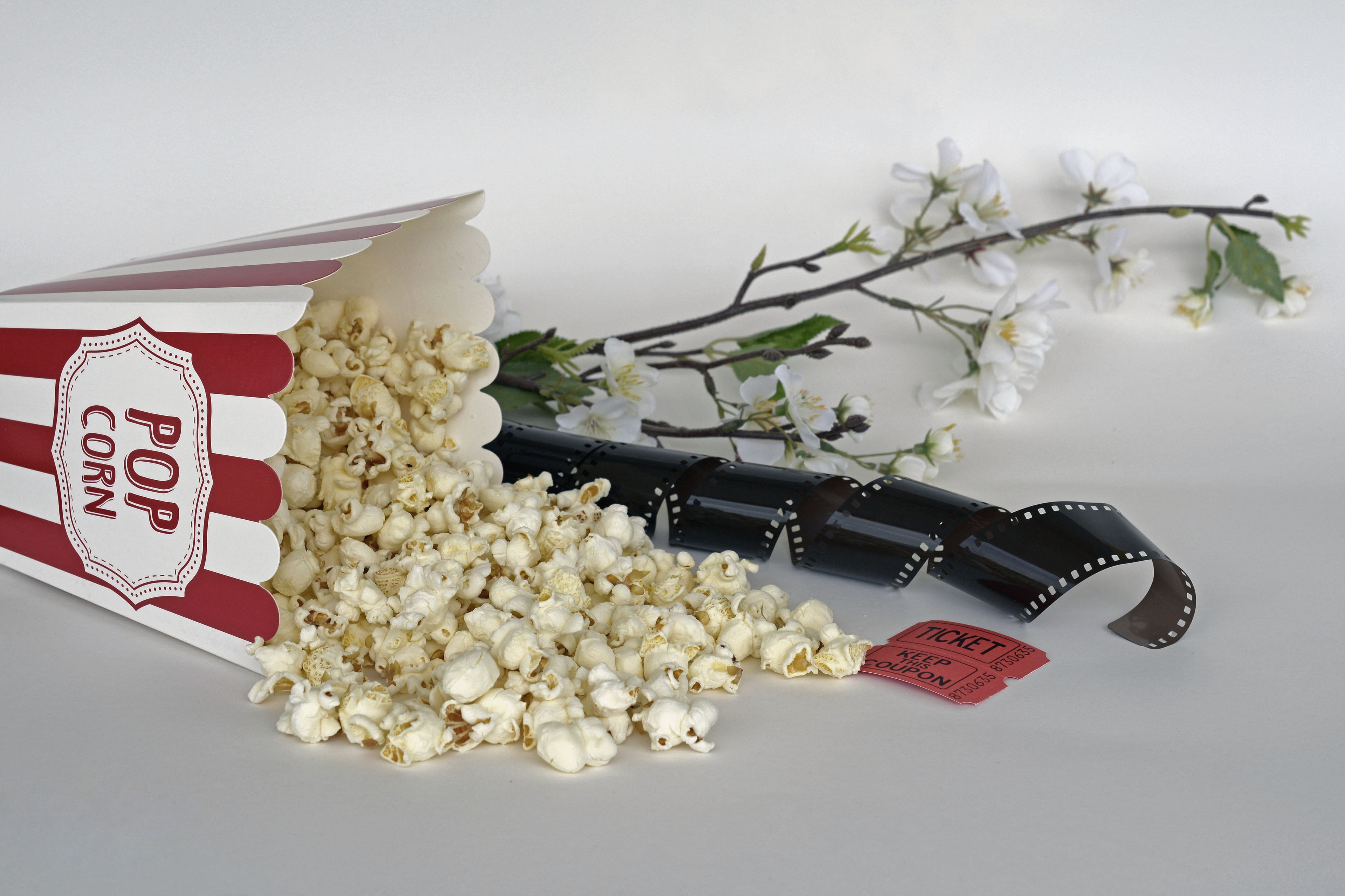 movie, entry, flowering plant, film roll, no people, container, 4K, white color, show, theater, food, currency, freshness, snack, salty, plant, entertainment, HD Wallpaper