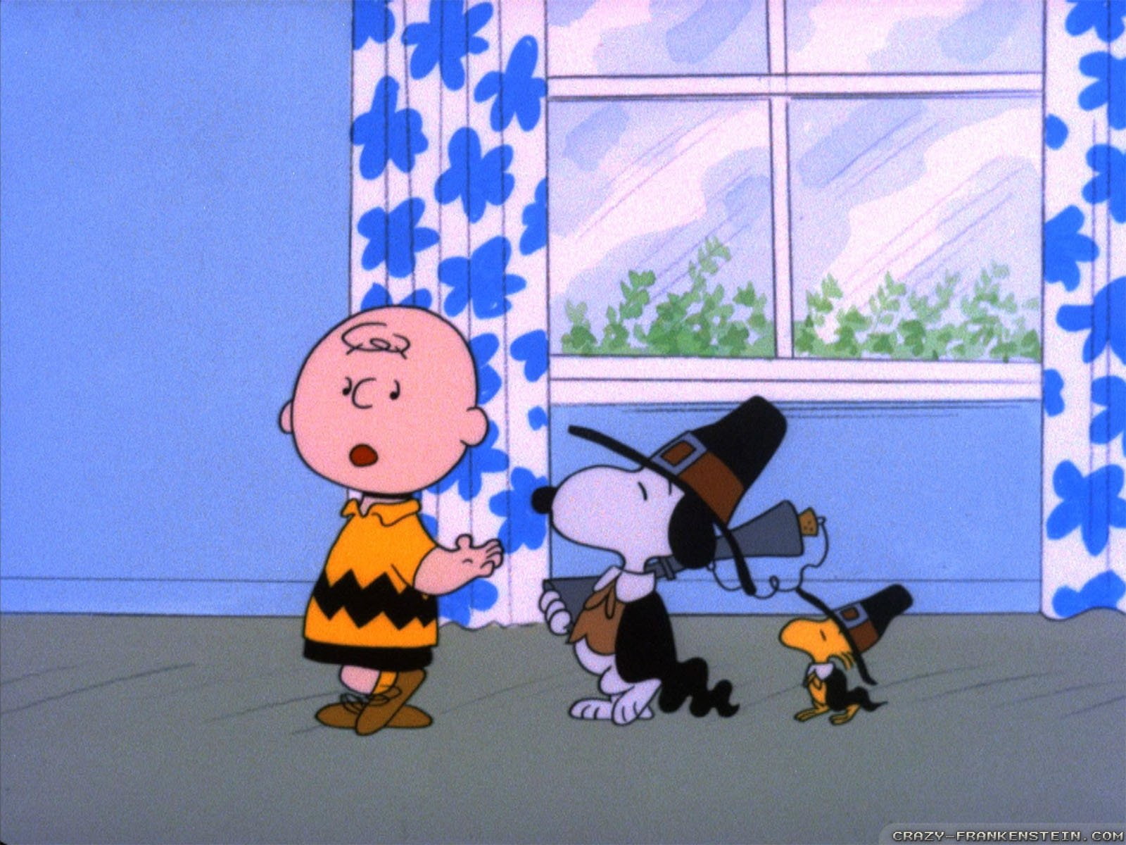 indoors, paper, Peanuts (Cartoon), Movie, shadow, wall - building feature, blue, human representation, A Charlie Brown Thanksgiving, no people, flag, window, HD Wallpaper