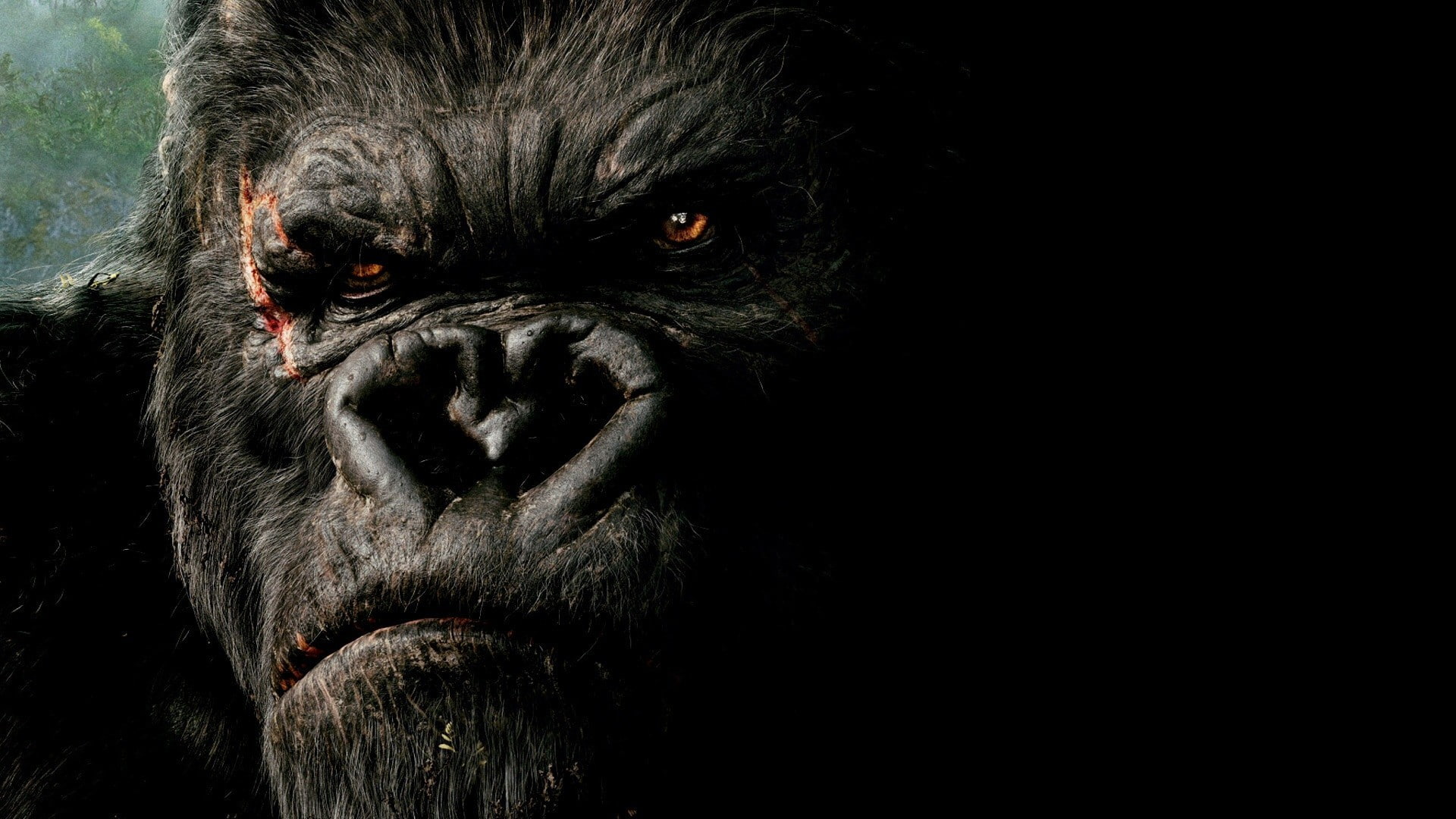 King Kong, movies, 1080P, HD Wallpaper