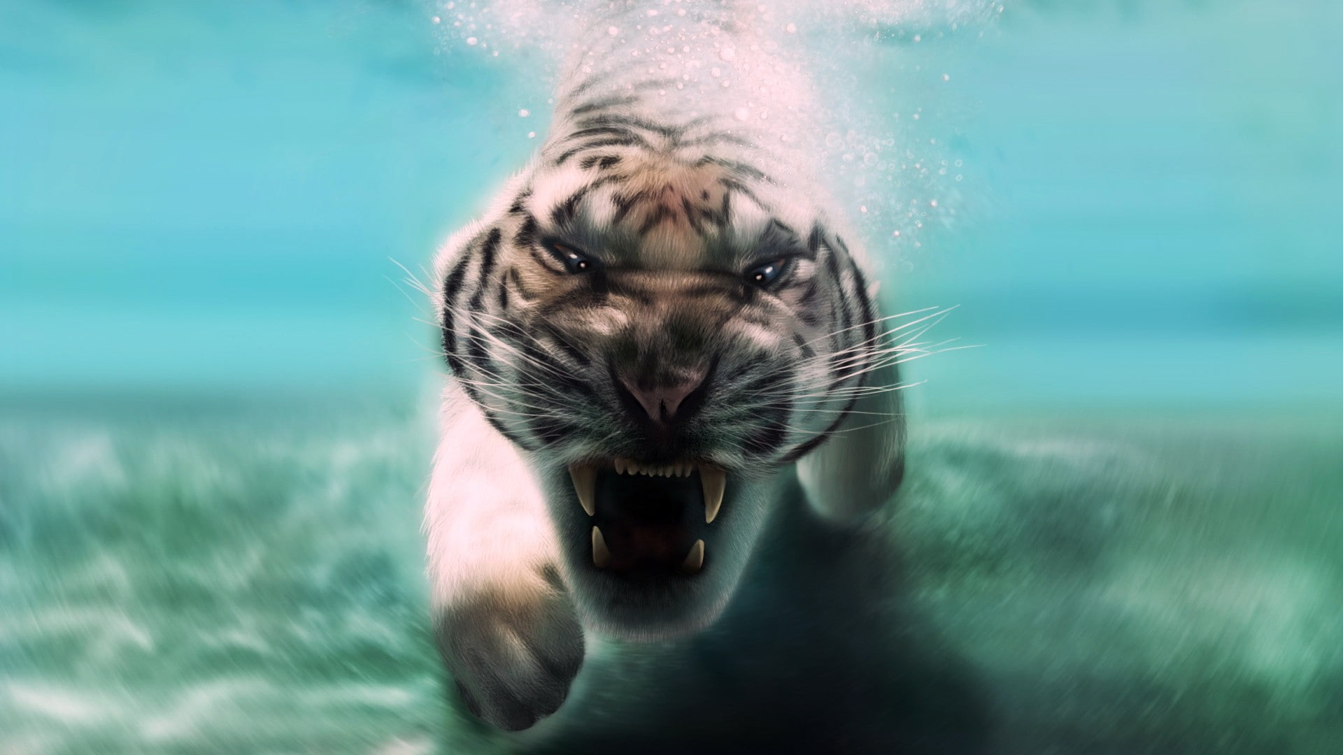 feline, 1080P, HD Wallpaper