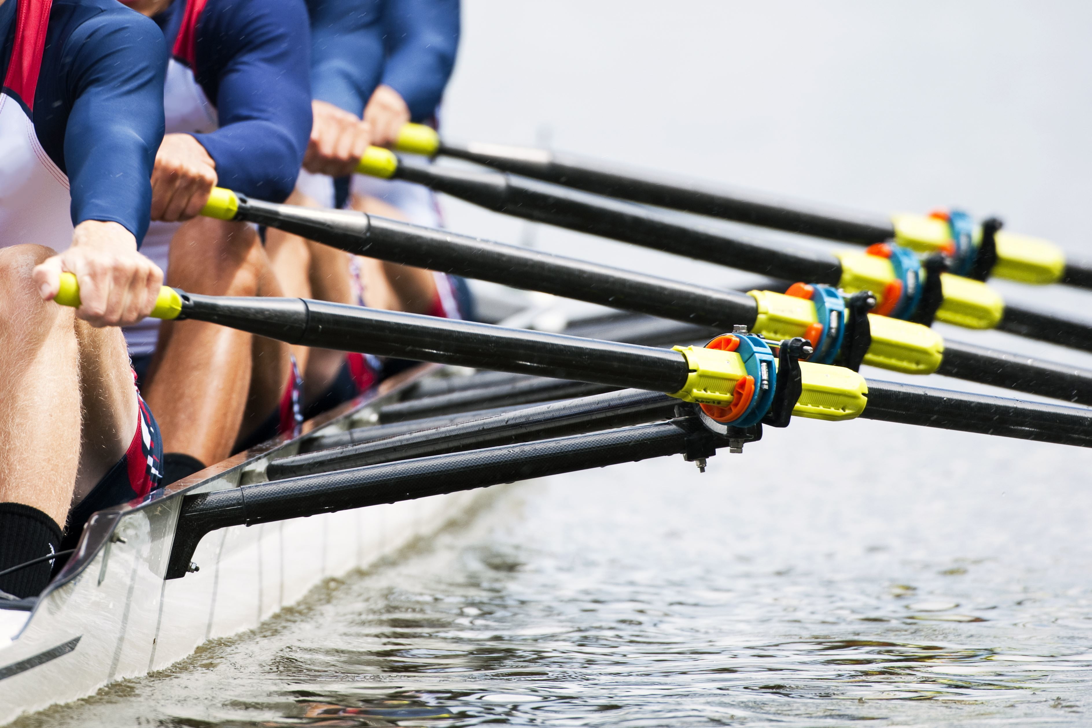 crew rowing, 2K, rowing, crew, water, power, HD Wallpaper