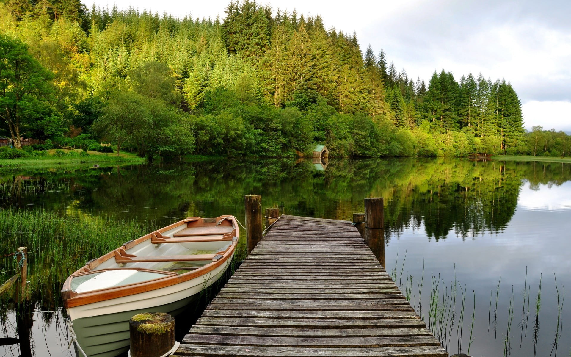 non-urban scene, nautical vessel, green color, wood - material, lake, nature, tree, gray, tranquility, no people, forest, 1080P, day, water, white, outdoors, HD Wallpaper