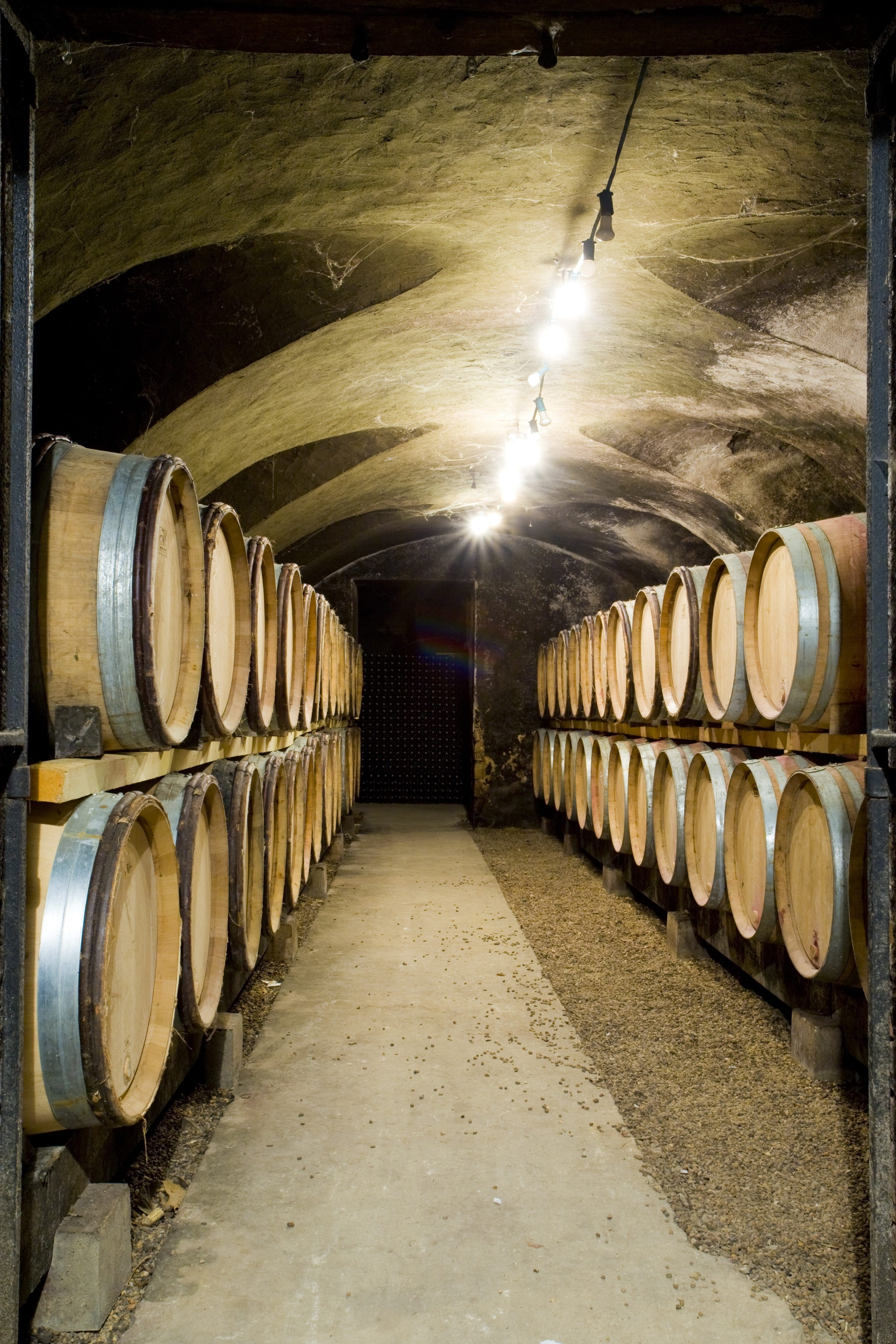 old, storage Room, Botti, Cellar, food and drink industry, food and drink, aging Process, vine, industry, refreshment, illuminated, no People, cylinder, Phone HD Wallpaper
