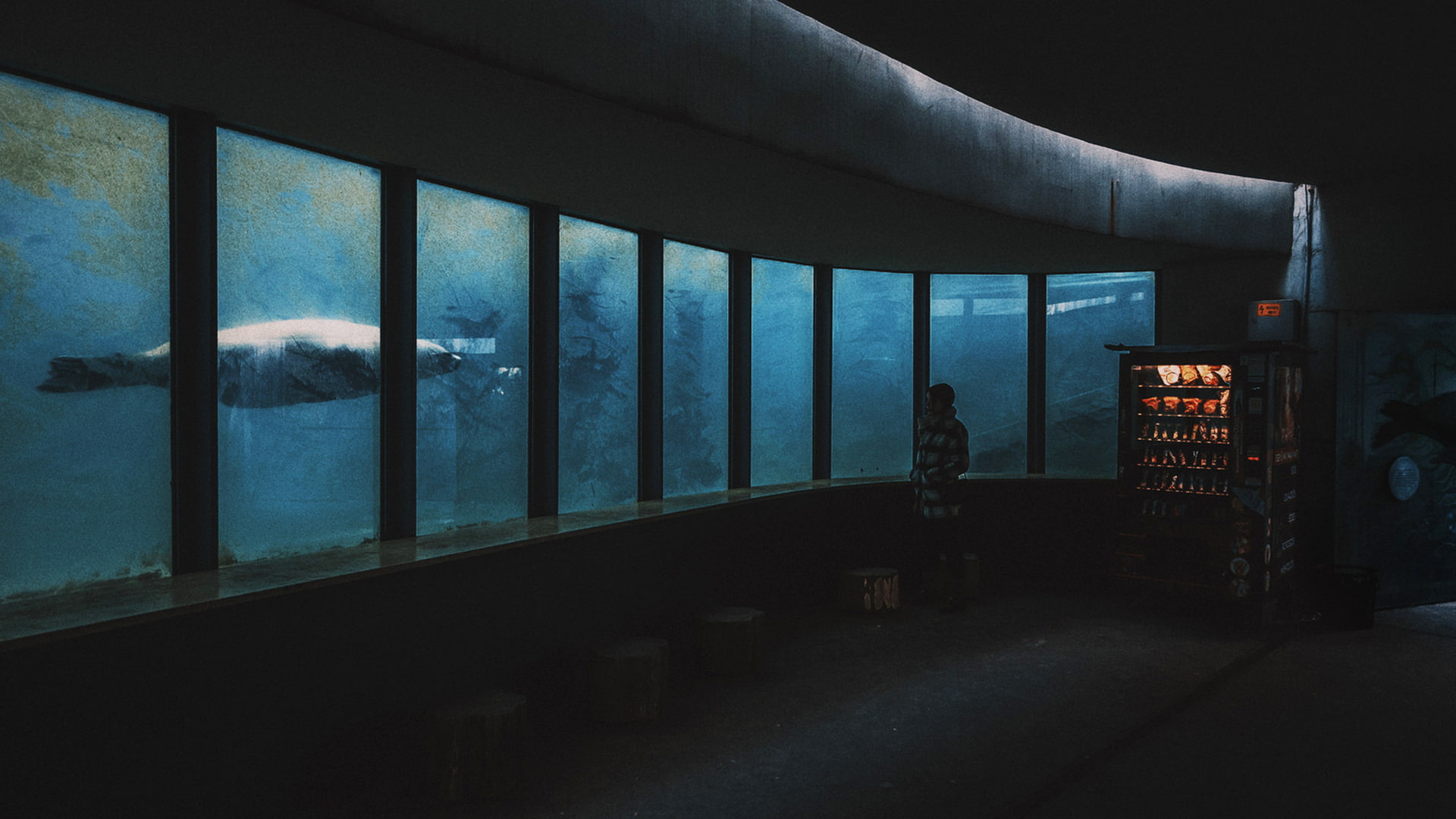 dark, comfy, adult, city, men, glass - material, 1080P, night, indoors, full length, standing, leisure activity, lifestyles, one person, architectural column, HD Wallpaper