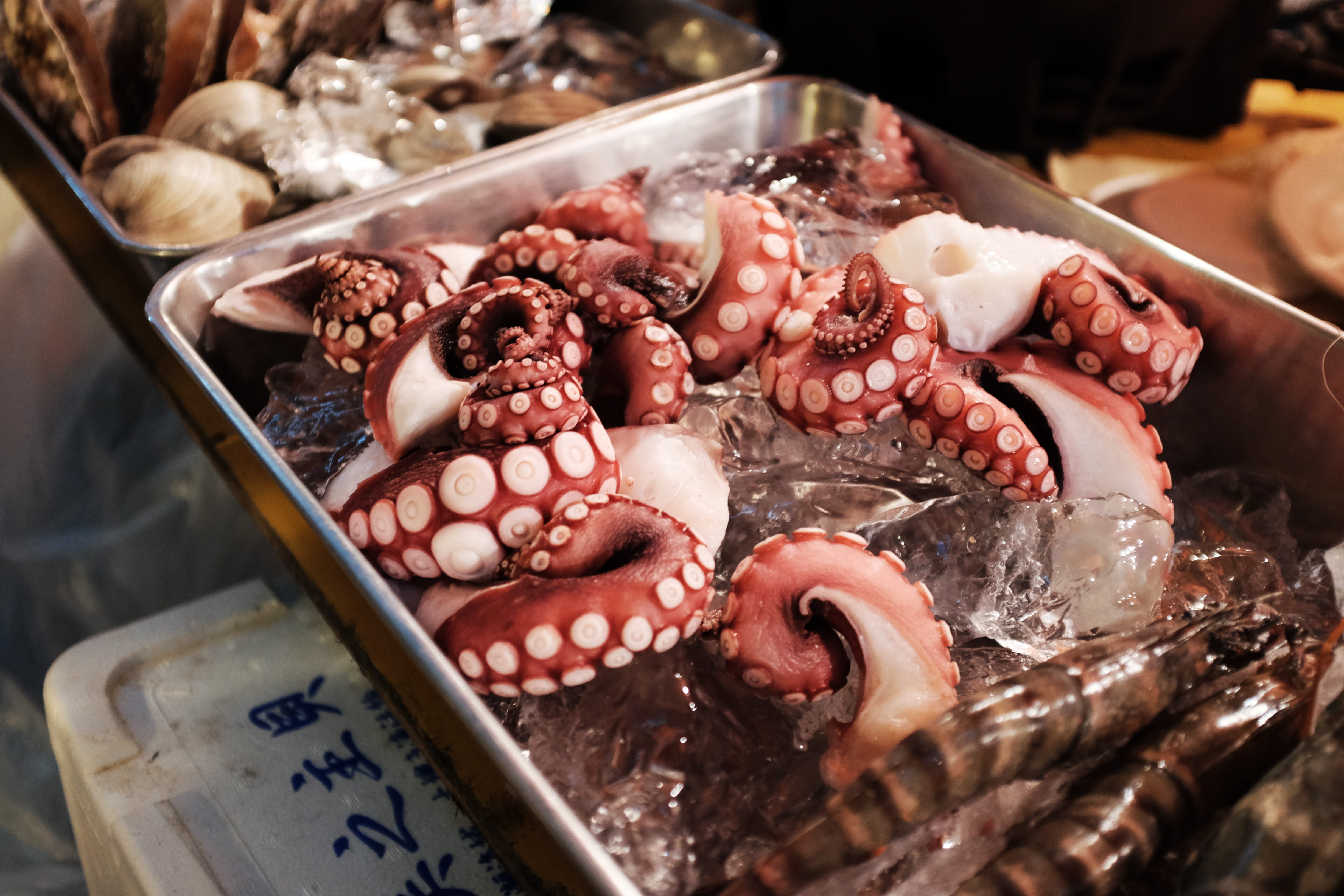 tray, sale, indoors, market, japanese food, raw food, healthy eating, food and drink, container, fishing industry, ice, wellbeing, freshness, squid, market stall, HD Wallpaper