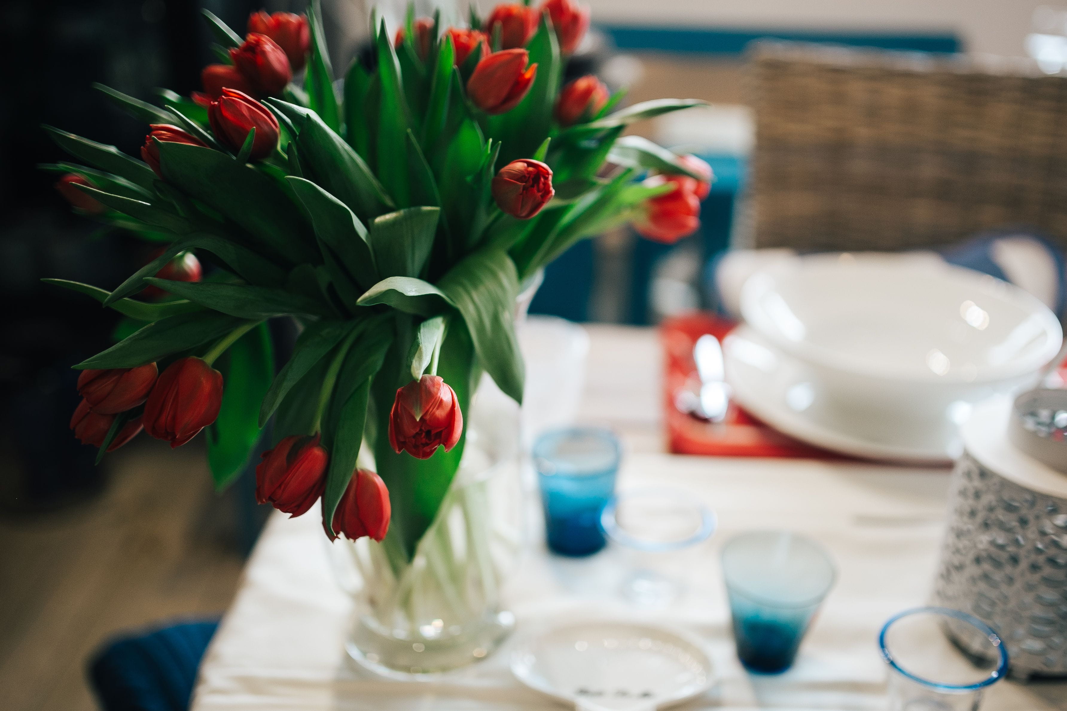Table, plant, glass, arrangement, elegance, no People, kitchen utensil, dining, crockery, setting, household equipment, arranging, focus on foreground, HD Wallpaper