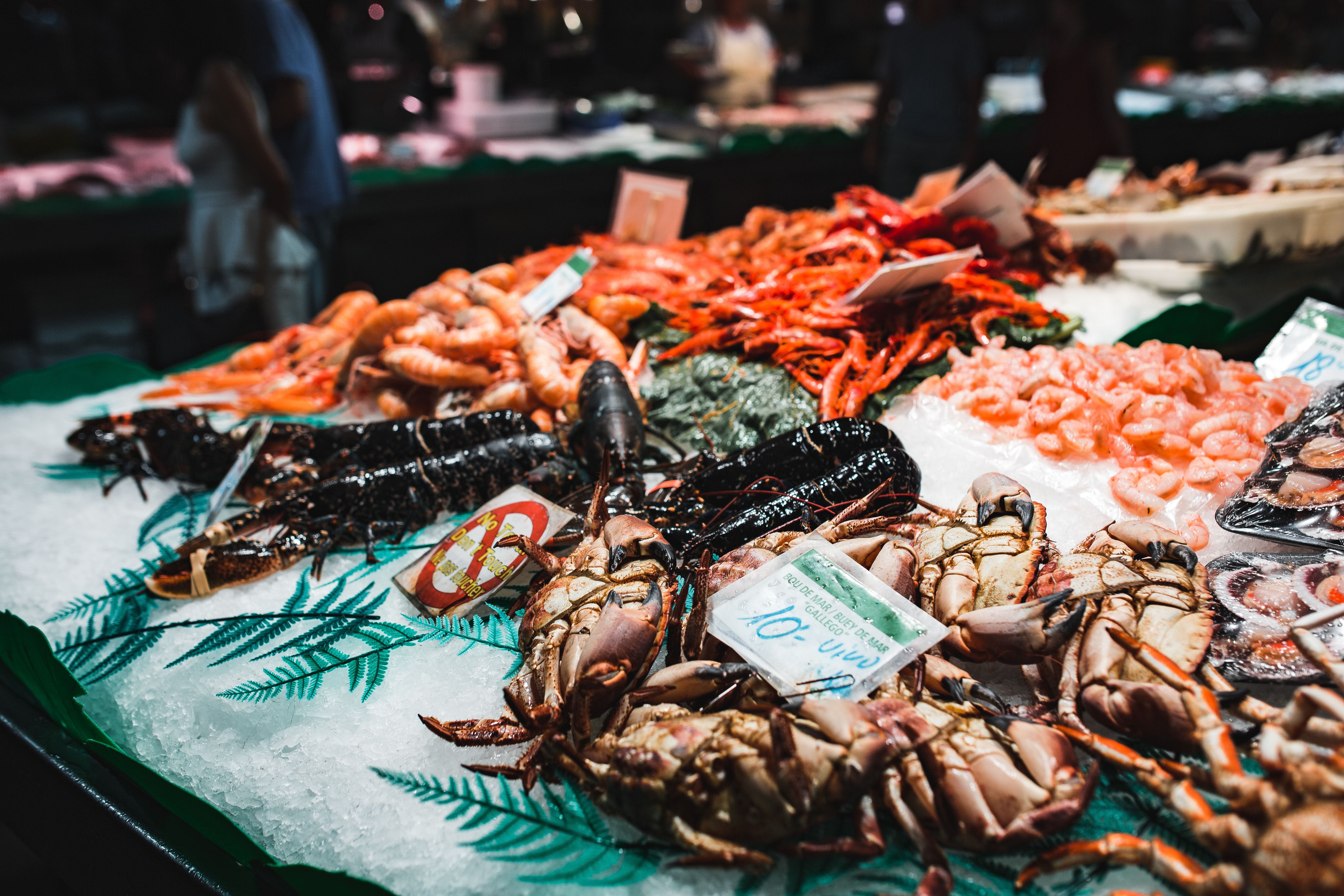 selling, food market, incidental people, prepared Fish, Barcelona Spain, food, abundance, freshness, food and drink, colorful, price tag, for sale, healthy eating, HD Wallpaper