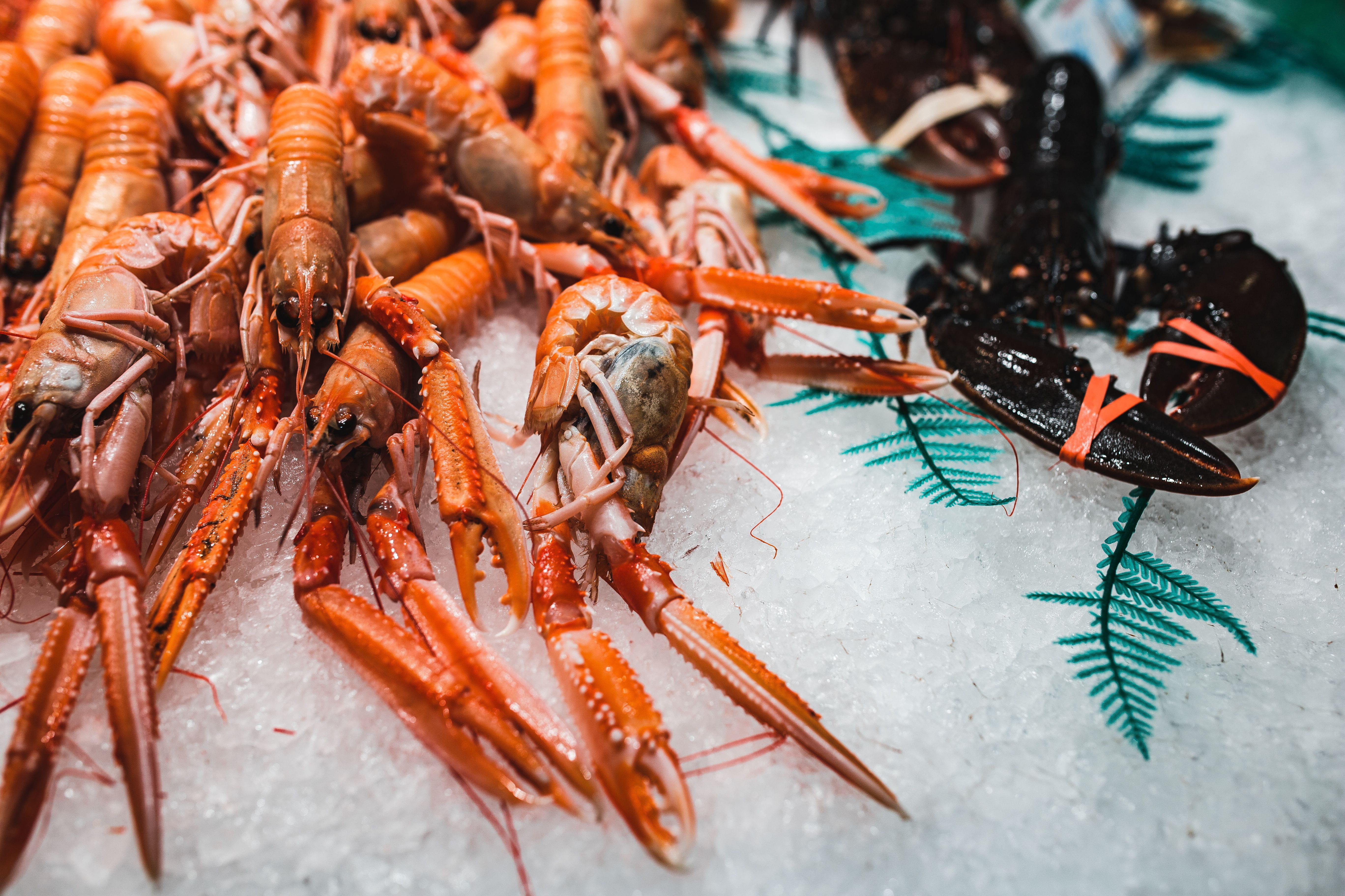 food And Drink, indoors, spain, shrimp, 5K, day, colorful, close-up, claw, animal, food market, invertebrate, fruits, red, high angle view, La Boqueria, HD Wallpaper