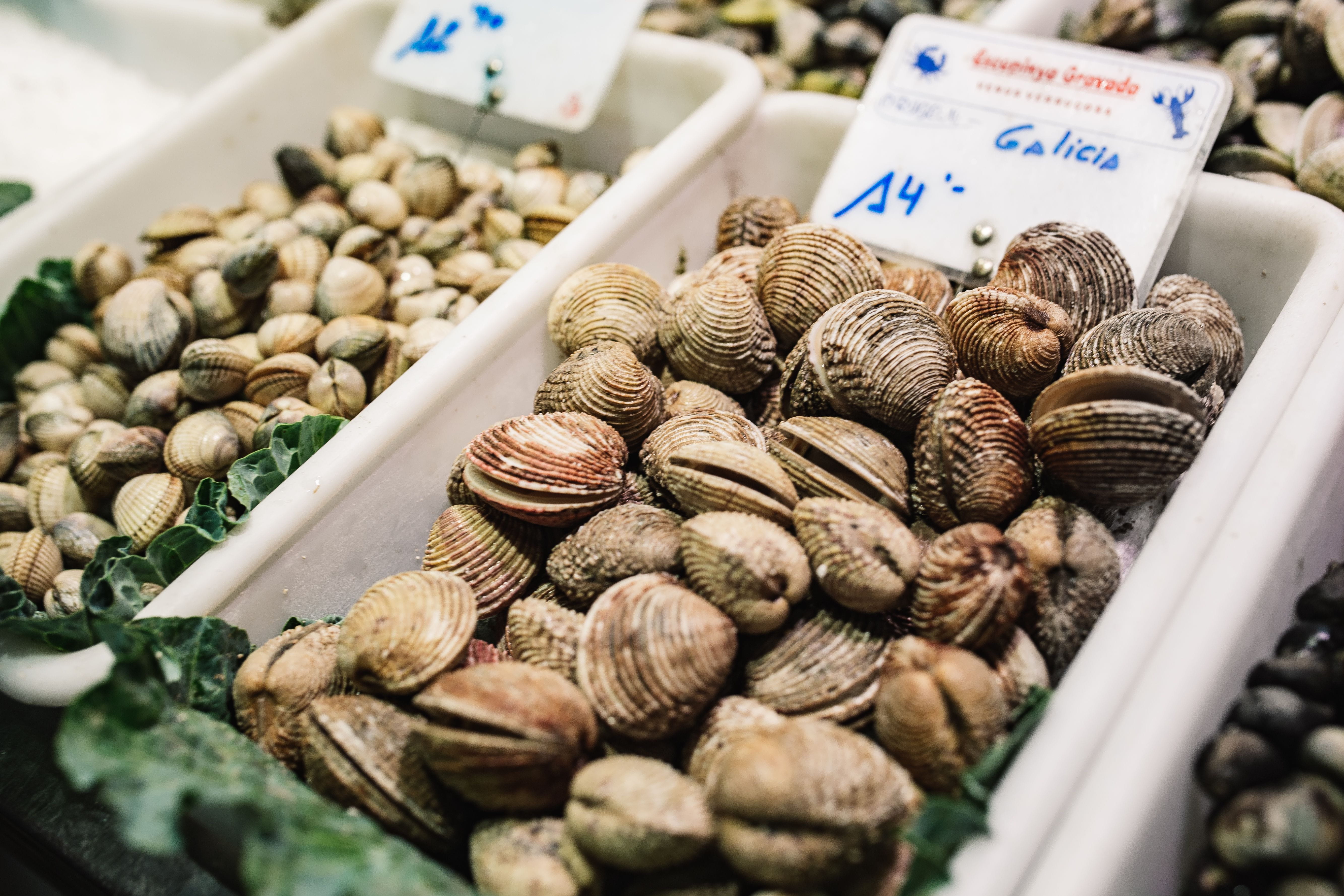 indoors, La Boqueria, Barcelona Spain, 5K, close-up, nut, variation, large group of objects, selective focus, barcelona, fruits, no people, la, food, freshness, HD Wallpaper