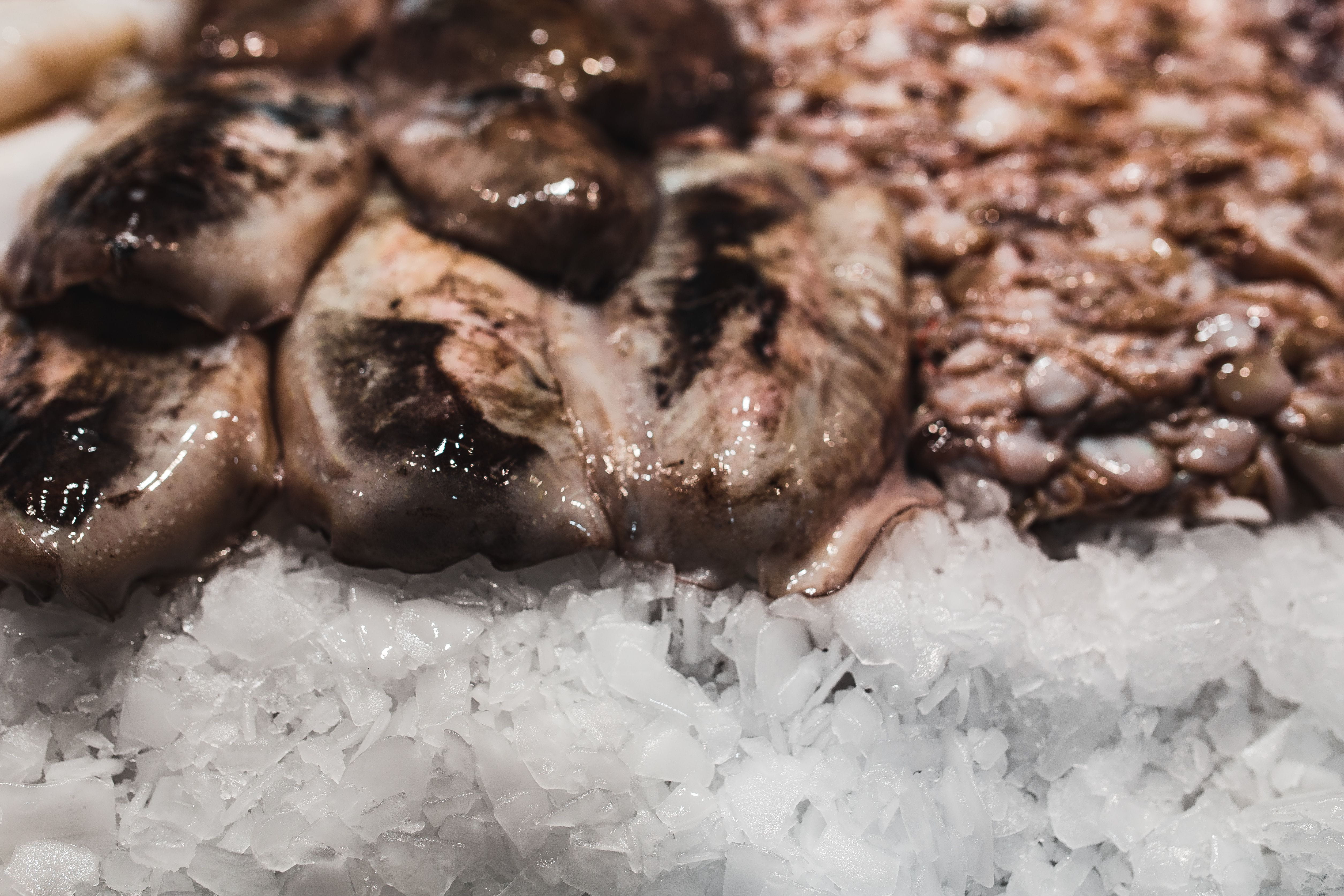 no people, freshness, food market, selective focus, vitamin, high angle view, indoors, temptation, barcelona, still life, healthy, close-up, focus on foreground, HD Wallpaper