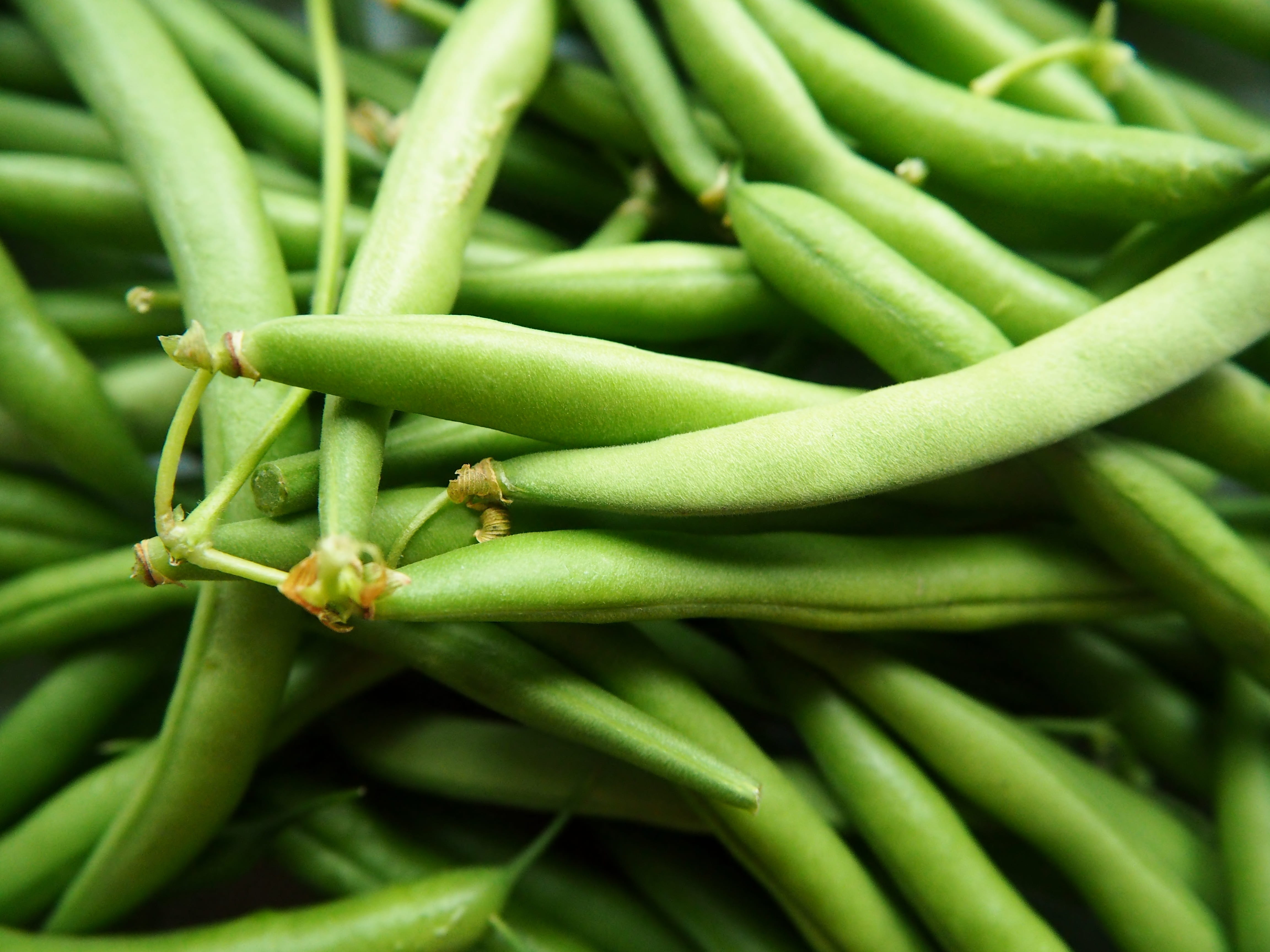 string, wellbeing, nature, market, freshness, plant, day, close-up, retail, beans, backgrounds, abundance, vitamins, close, healthy eating, green beans, HD Wallpaper