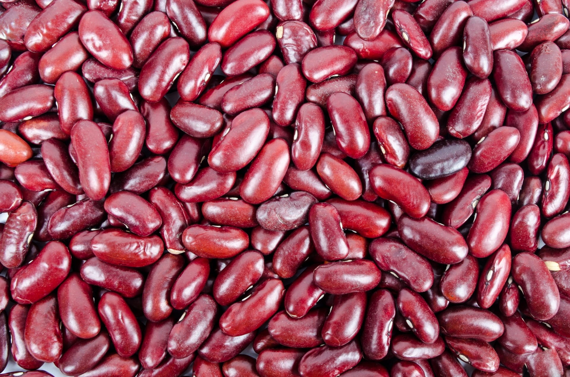 brown, kidney, 1080P, wellbeing, chopped, uncooked, still life, collection, no people, full frame, group, food, dry, freshness, temptation, nobody, legume, HD Wallpaper
