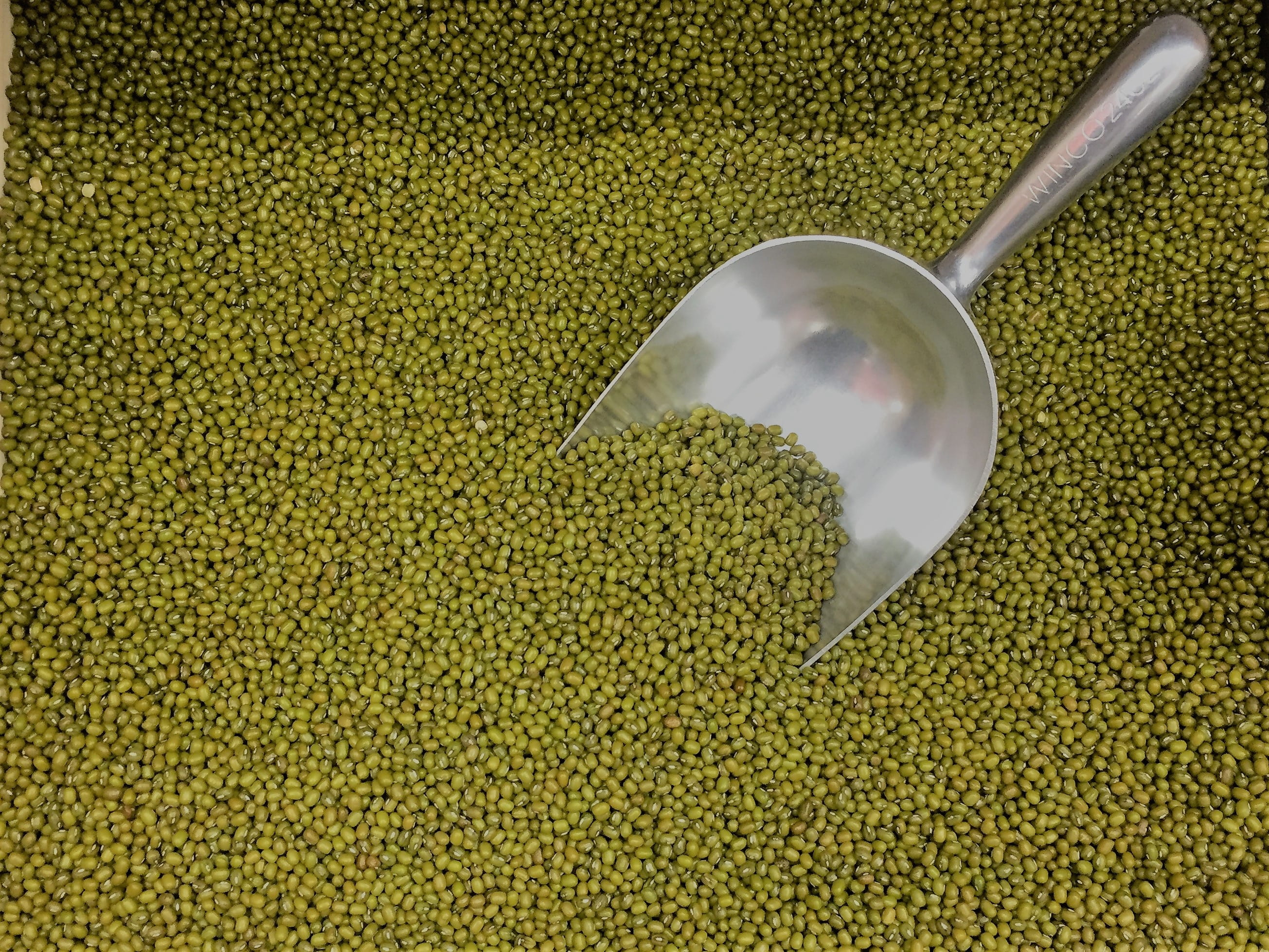 no people, indoors, bean, green, food and drink, wellbeing, legume, household equipment, raw food, eating utensil, 2K, vegetarian, Beans, ingredient, still life, HD Wallpaper