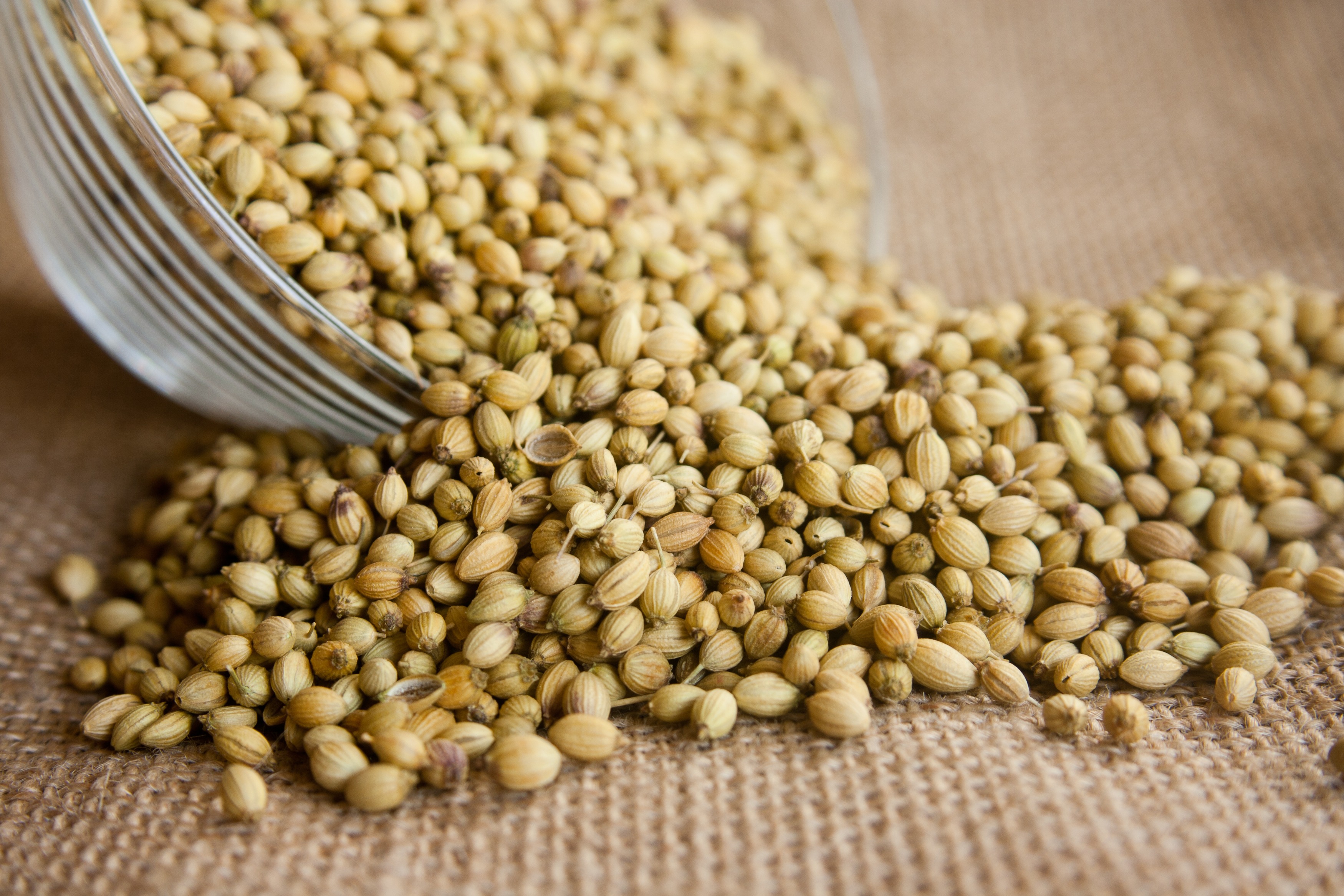 raw Food, bowl, wellbeing, vegetable, aromatic, legume family, crop, seasoning, condiment, gray, brown, beans, close-up, fresh, freshness, agriculture, HD Wallpaper