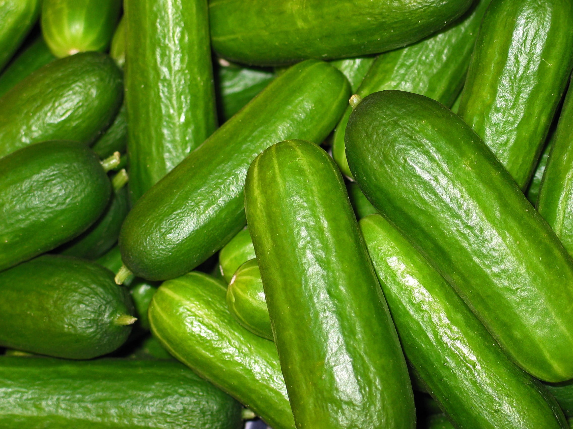 vegetarian, edible, kitchen, frisch, chili pepper, cook, Vegetables, green color, bio, close-up, full frame, market, meal, backgrounds, food, feed, healthy eating, HD Wallpaper