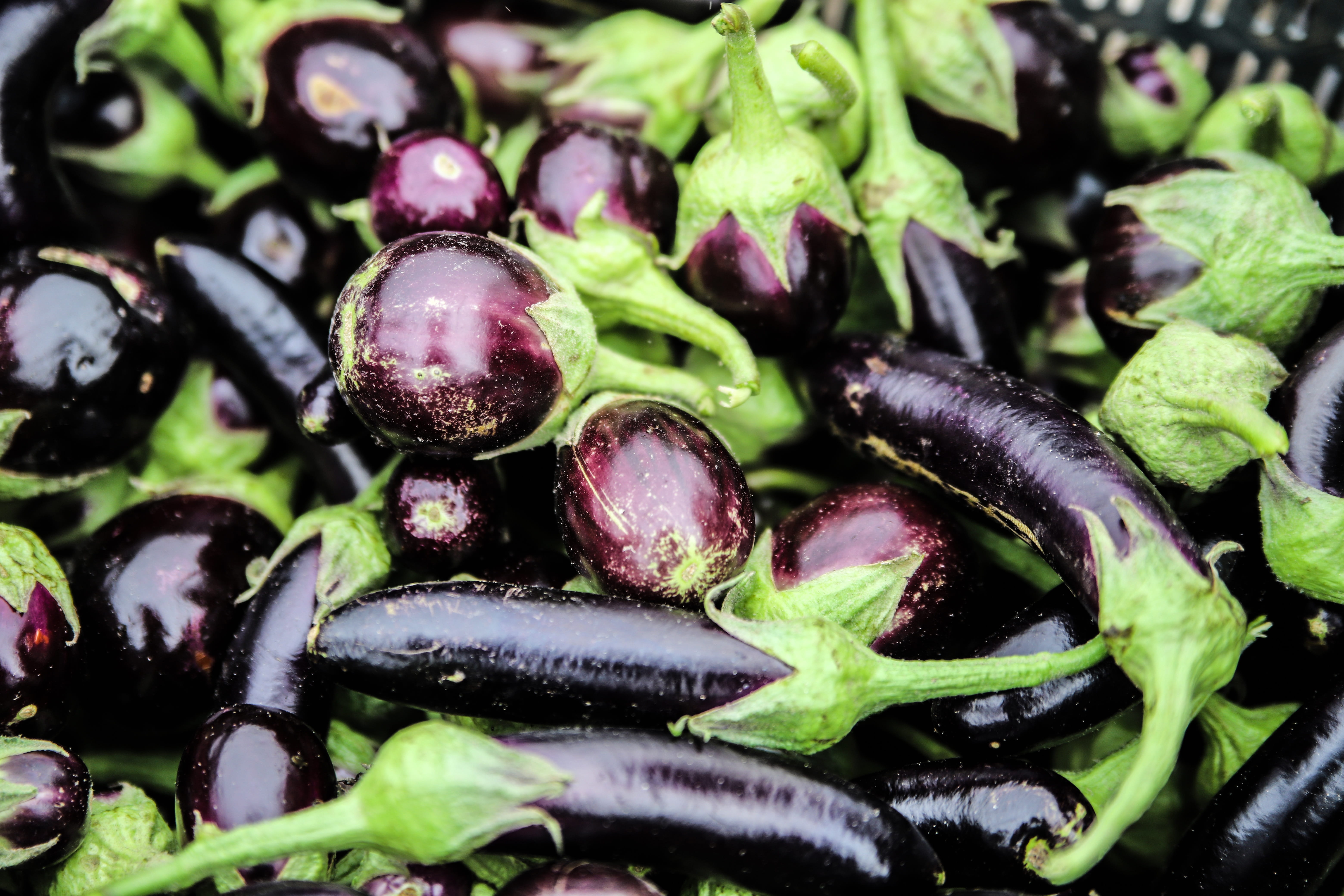 5K, no people, agriculture, fresh, vegan, green, sketch, healthy, organic, farming, abundance, plant, high angle view, indoors, ingredient, selective focus, HD Wallpaper