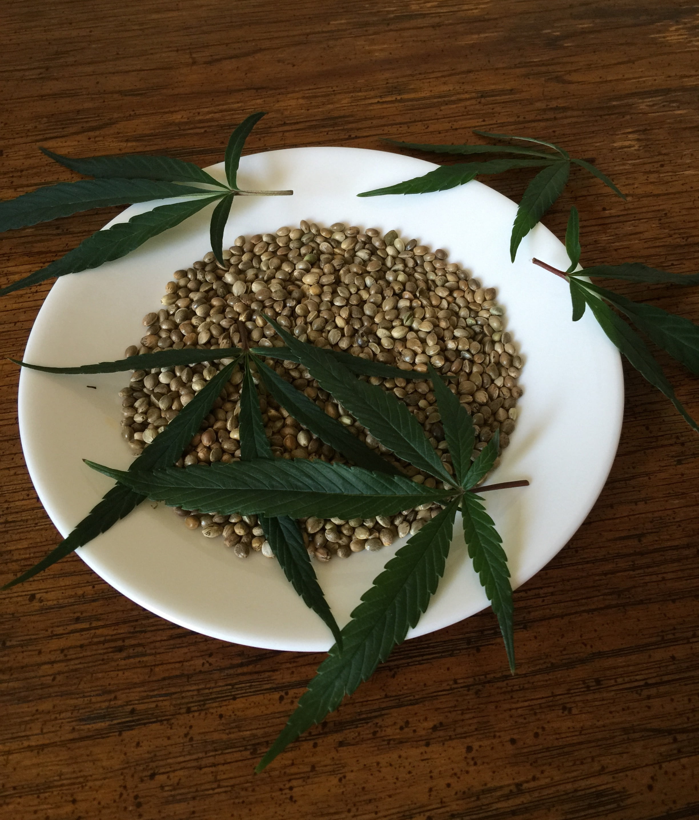 plant, green, organic, raw, plate, leaf, ingredient, hemp, healthy, natural, close-up, omega, cannabis, hemp seeds, wellbeing, still life, no people, 2K, Phone HD Wallpaper