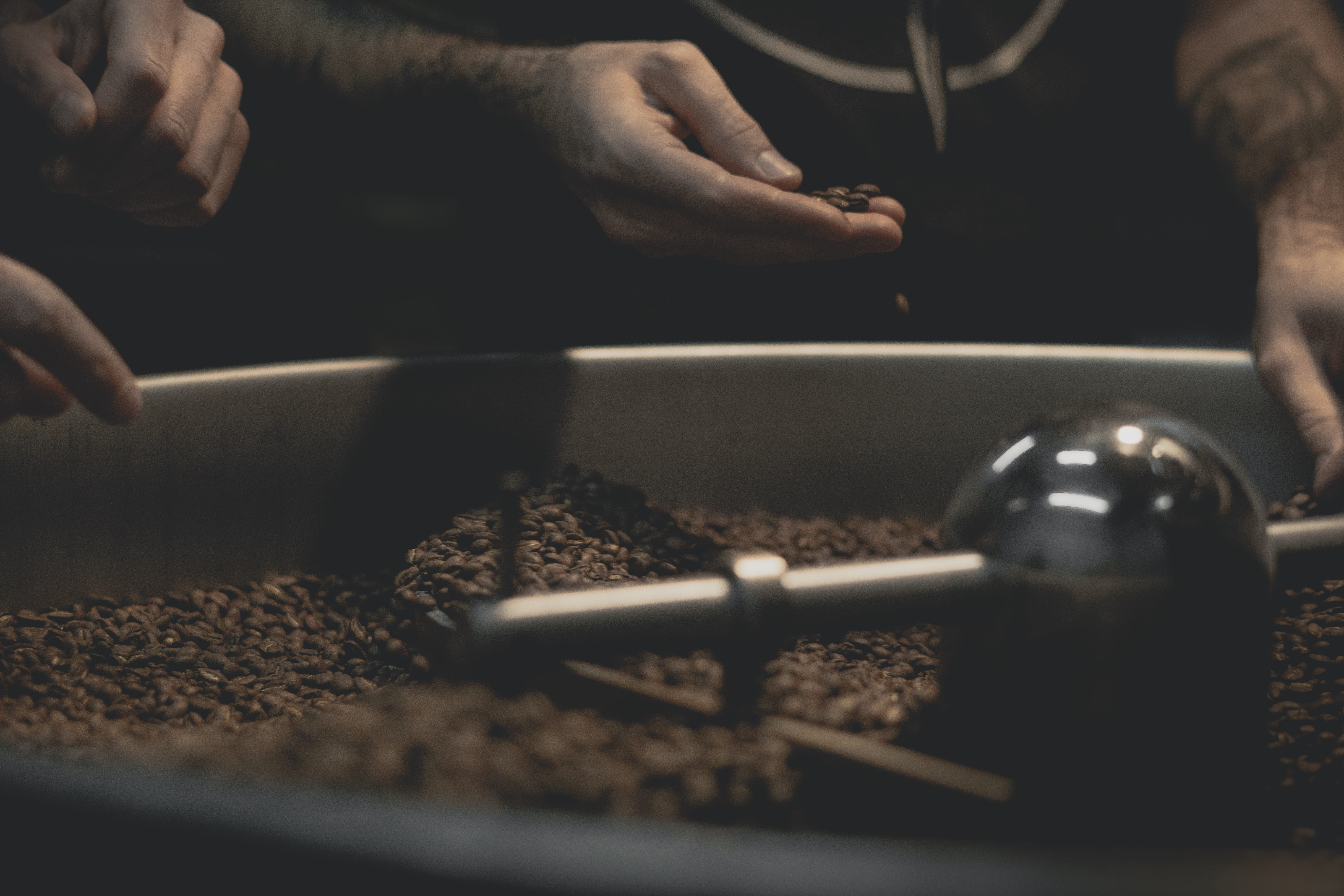 selective focus, occupation, midsection, table, 5K, zab roaster, real people, roaster, food and drink, montreal, roasters, preparing food, roasting, preparation, HD Wallpaper