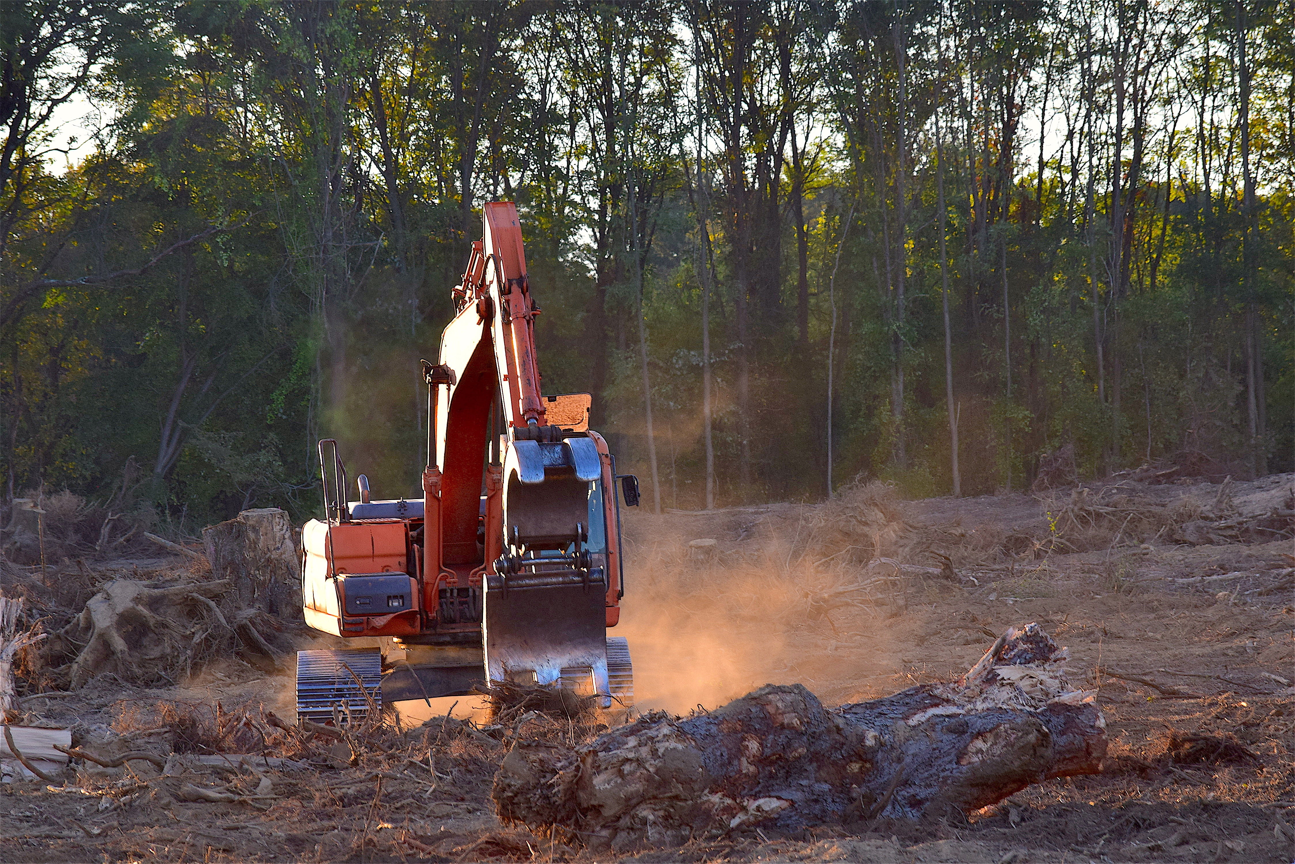 occupation, construction machinery, mode of transportation, 4K, technology, deforestation, machine, orange, industry, truck, environment, agricultural machinery, HD Wallpaper