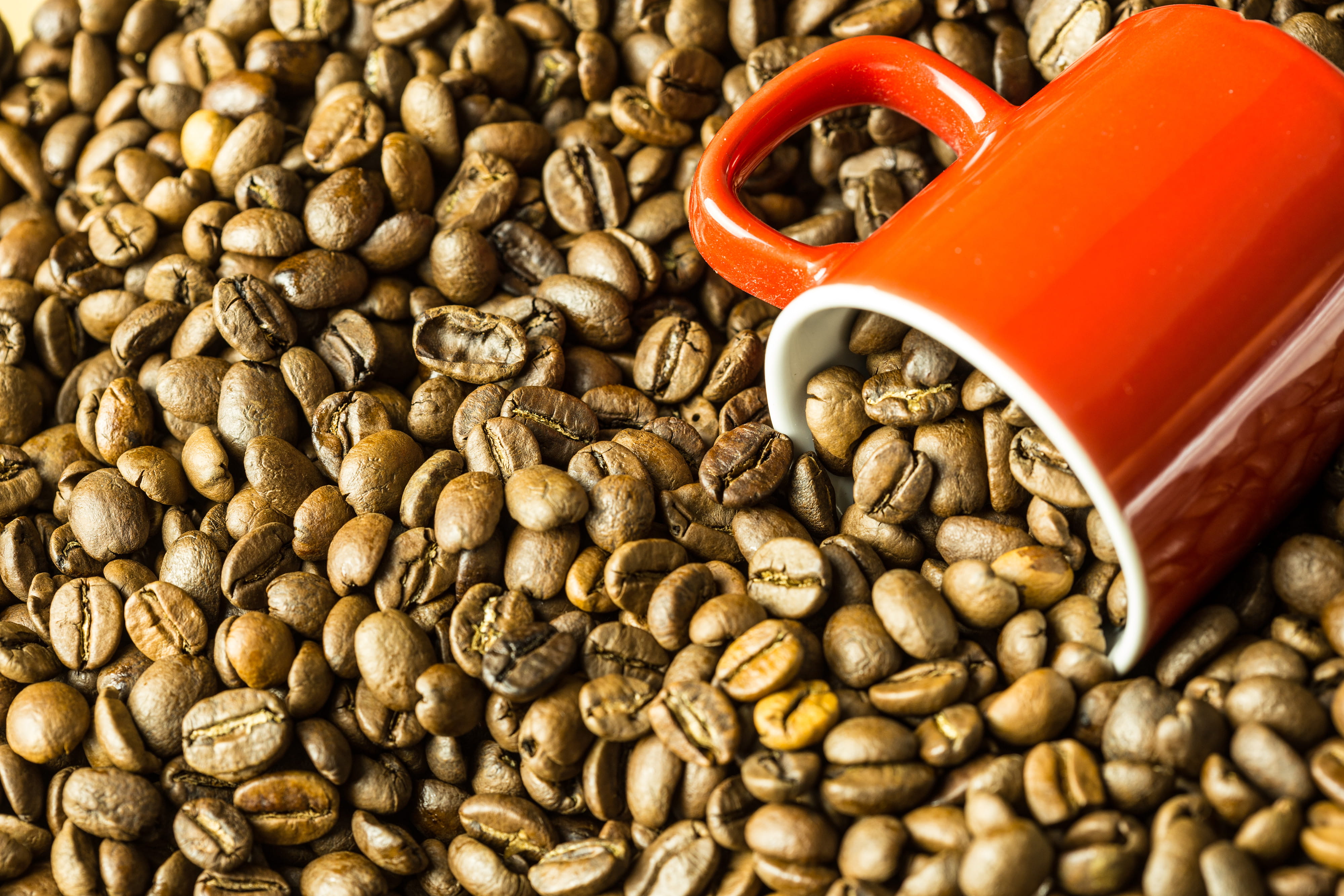 indoors, coffee - Drink, espresso, 4K, shot, drink, backgrounds, cafe, d, cup, alternative medicine, Closeup, food/Drink, coffee Cup, roasted coffee bean, HD Wallpaper