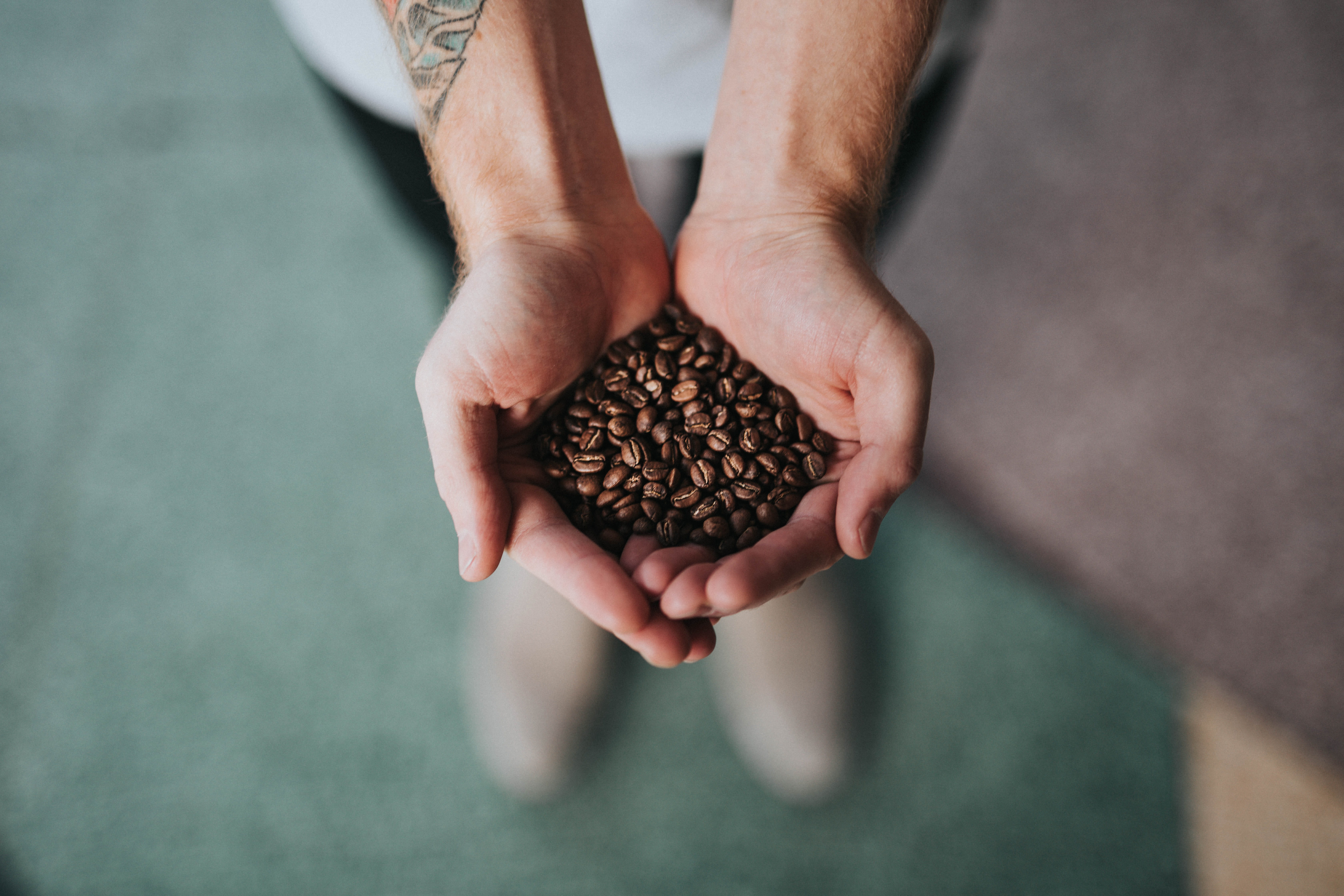 agriculture, human body part, one Person, hand, holding, high angle view, focus on foreground, bean, human limb, coffee bean, handful, body part, adult, HD Wallpaper