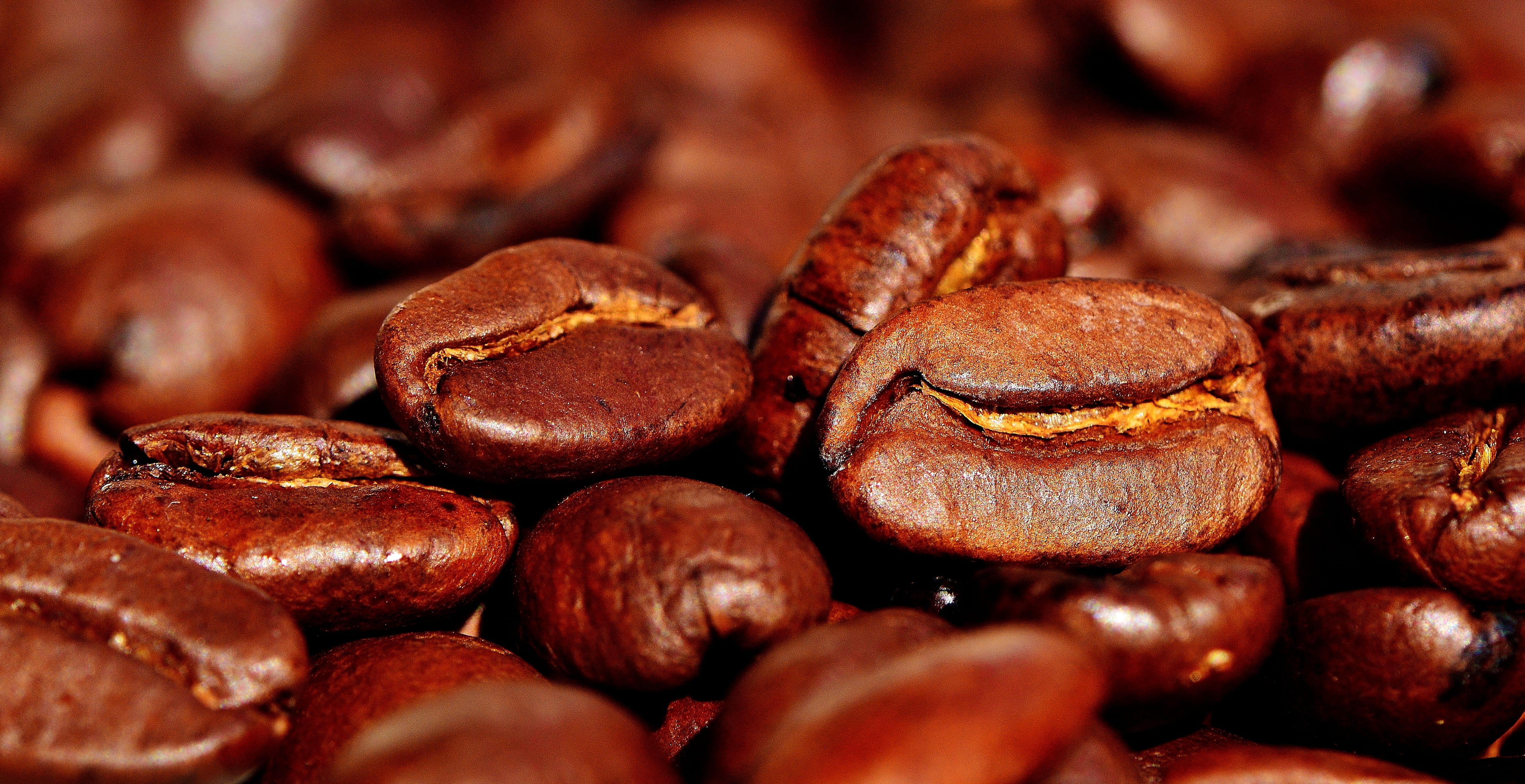 delicious, abundance, photography, coffee Bean, selective focus, temptation, dark, cappuccino, bean, beans, roasted coffee bean, stimulant, large group of objects, HD Wallpaper