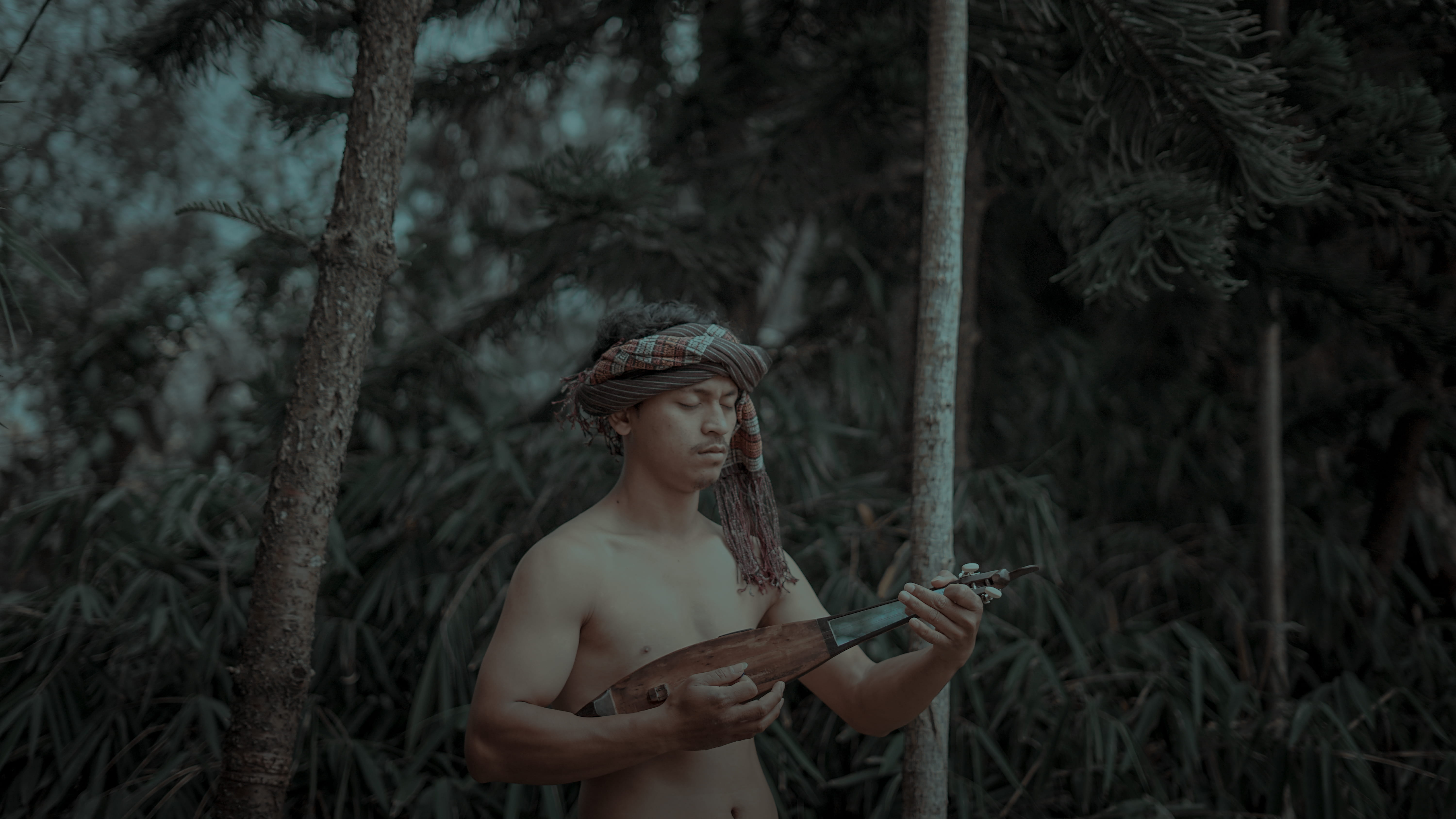 tree, contemplation, traditional, looking, plant, forest, music, toba, nature, batak musician, apparel, young women, art, traditional etnic, three quarter length, HD Wallpaper