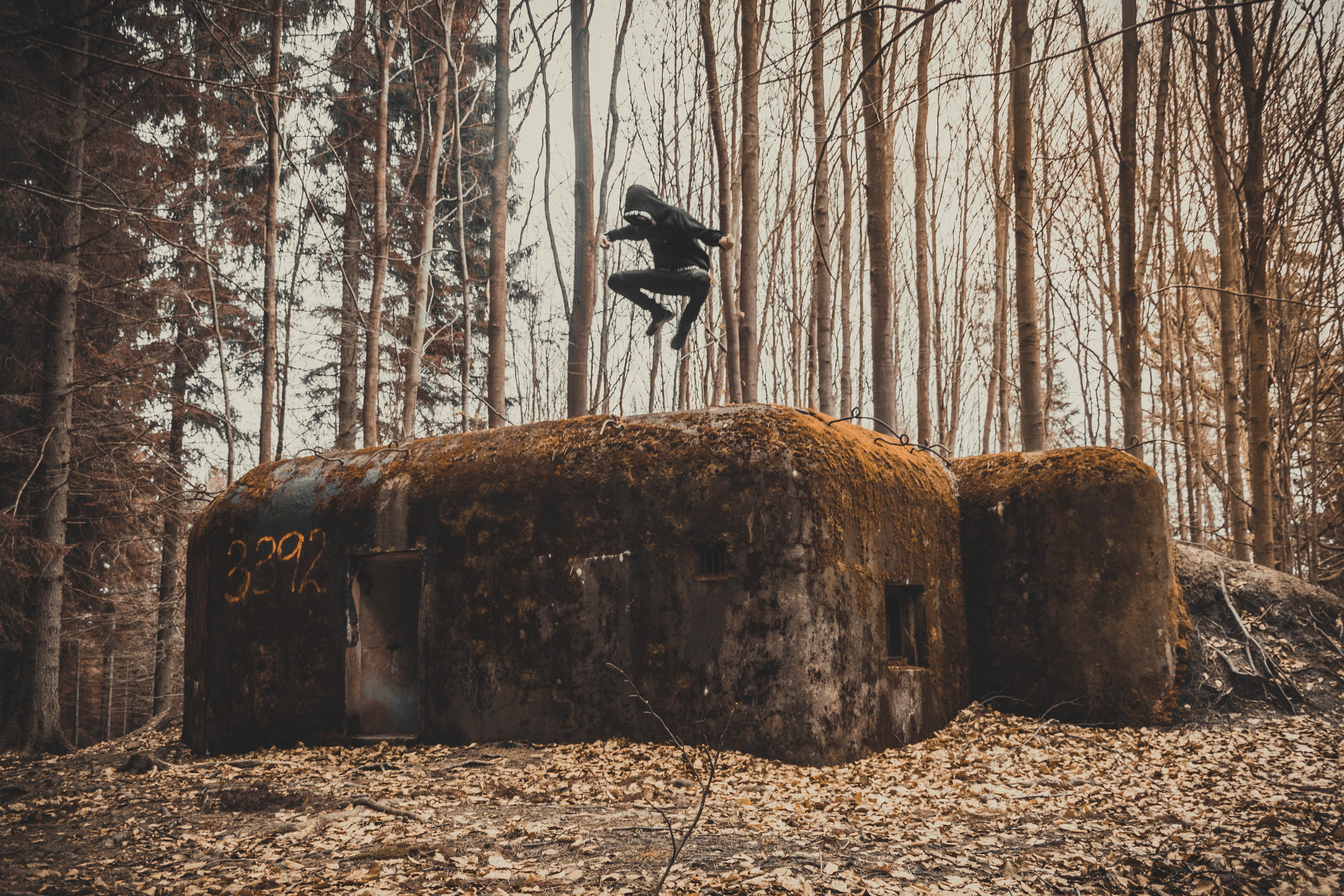 wood - material, tree, winter, character, history, day, defense, no people, animals in the wild, memorial, jump, war, museum, 5K, soldier, outdoors, tomb, HD Wallpaper
