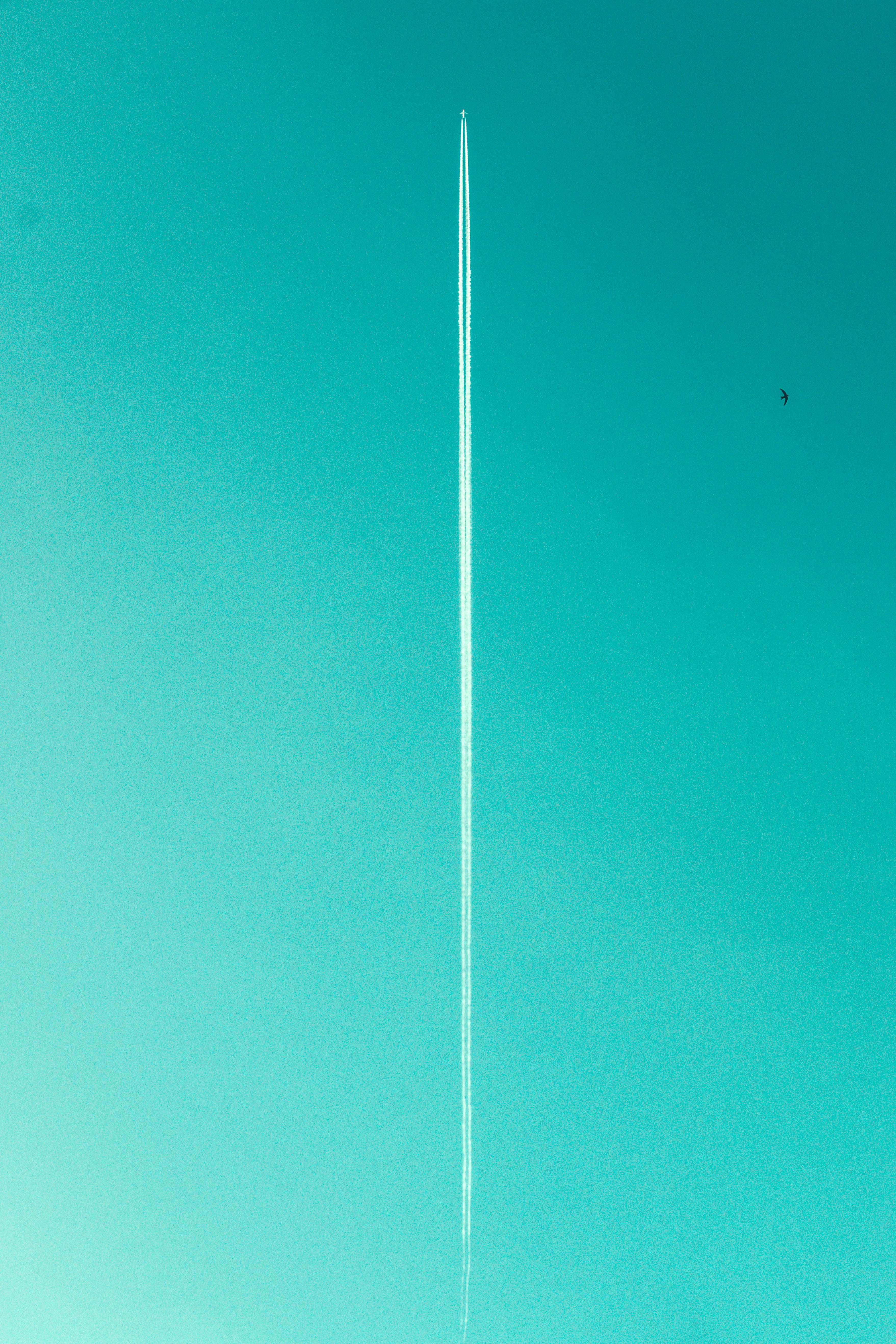 trail, flight, minimalism, symmetry, nature, line, vehicle, copy space, aeroplane, flying, exhaust, gradient, 5K, day, vapor trail, fly, aerobatic, mist, Phone HD Wallpaper
