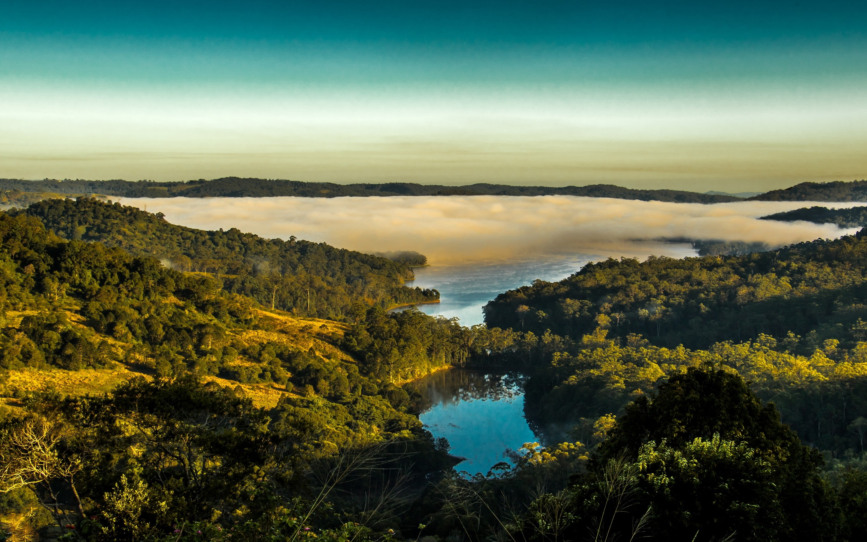 water, morning, sky, landscape, 2K, tree, idyllic, scenics - nature, cloud - sky, plant, nature, lake, mist, Australia, non-urban scene, beauty in nature, HD Wallpaper