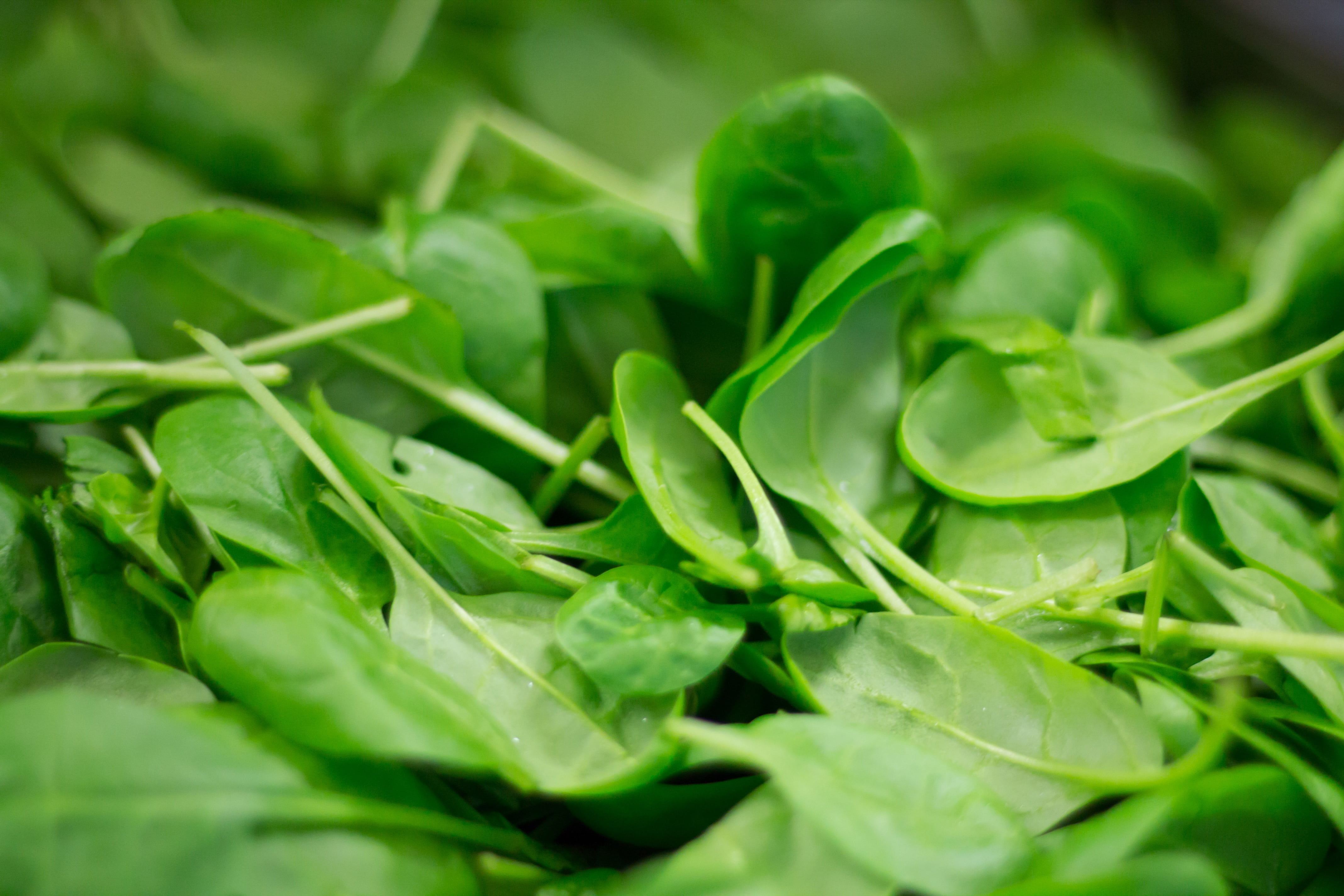 frisch, 4K, wellbeing, vegetables, food, detoxify, delicious, plant part, close-up, color, selective focus, green color, full frame, no people, nutrition, HD Wallpaper