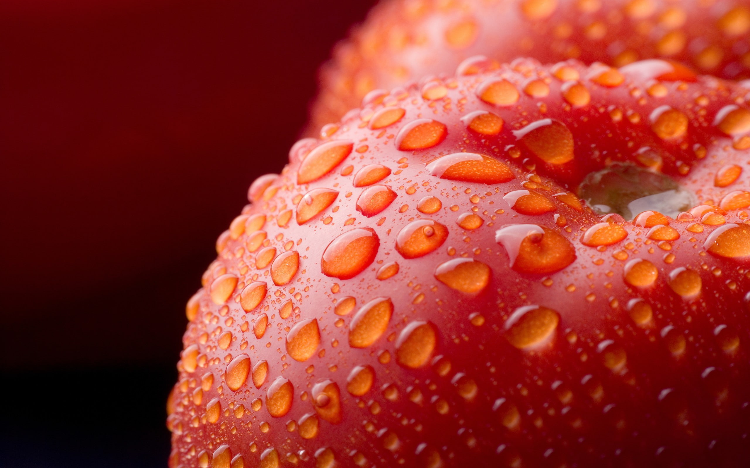 red, fruit, 2K, food, water drops, macro, tomatoes, closeup, detailed, depth of field, nature, vegetables, HD Wallpaper