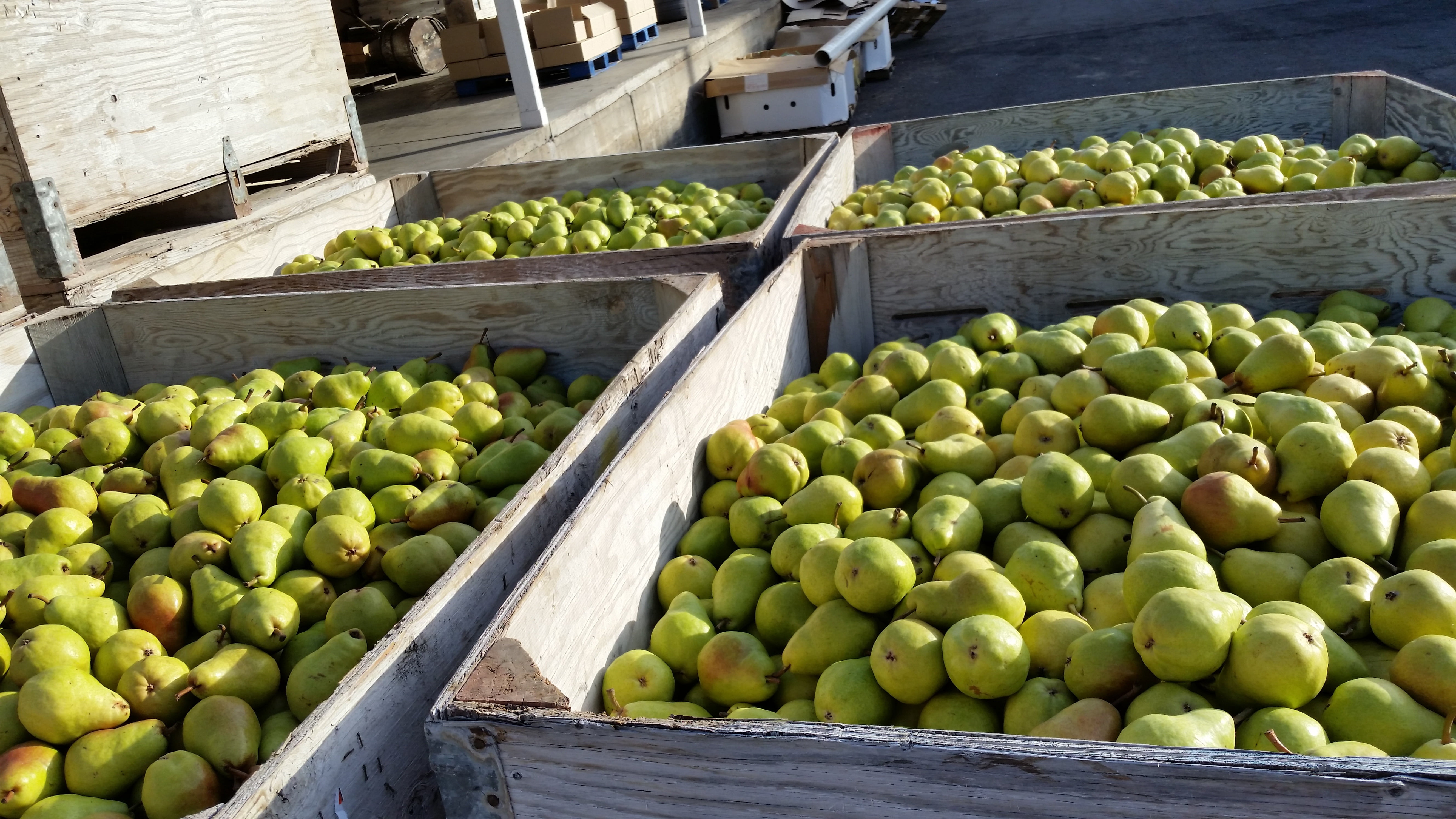 market, for sale, food, abundance, dessert, sale, juicy, food processing plant, bartlett, street market, ripe, business, large group of objects, healthy eating, HD Wallpaper