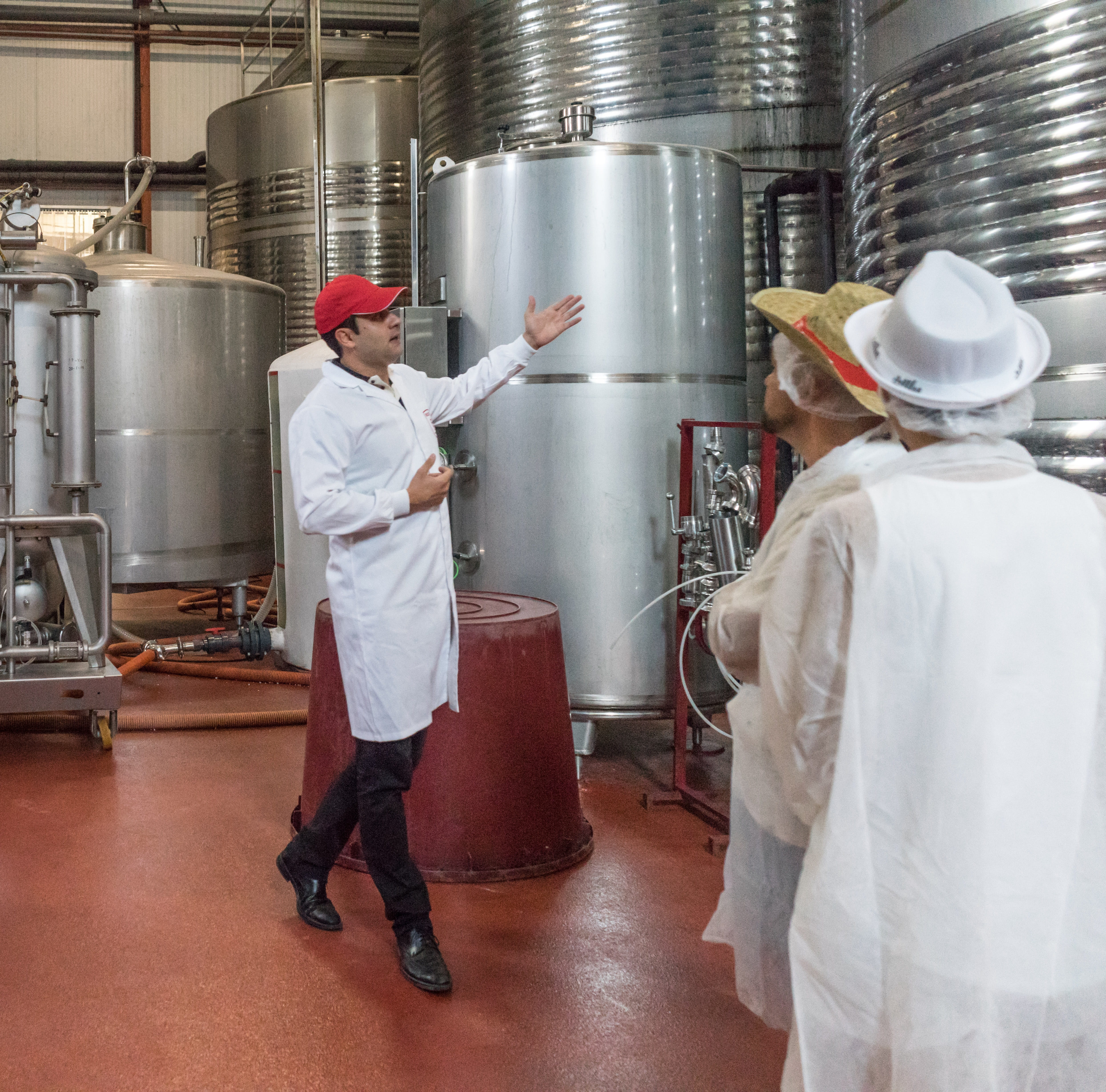 tourist, men, red, gown, adult, Ship, food processing plant, 4K, Production, Wine, Factory, full length, people, wearing, standing, industry, preparation, HD Wallpaper