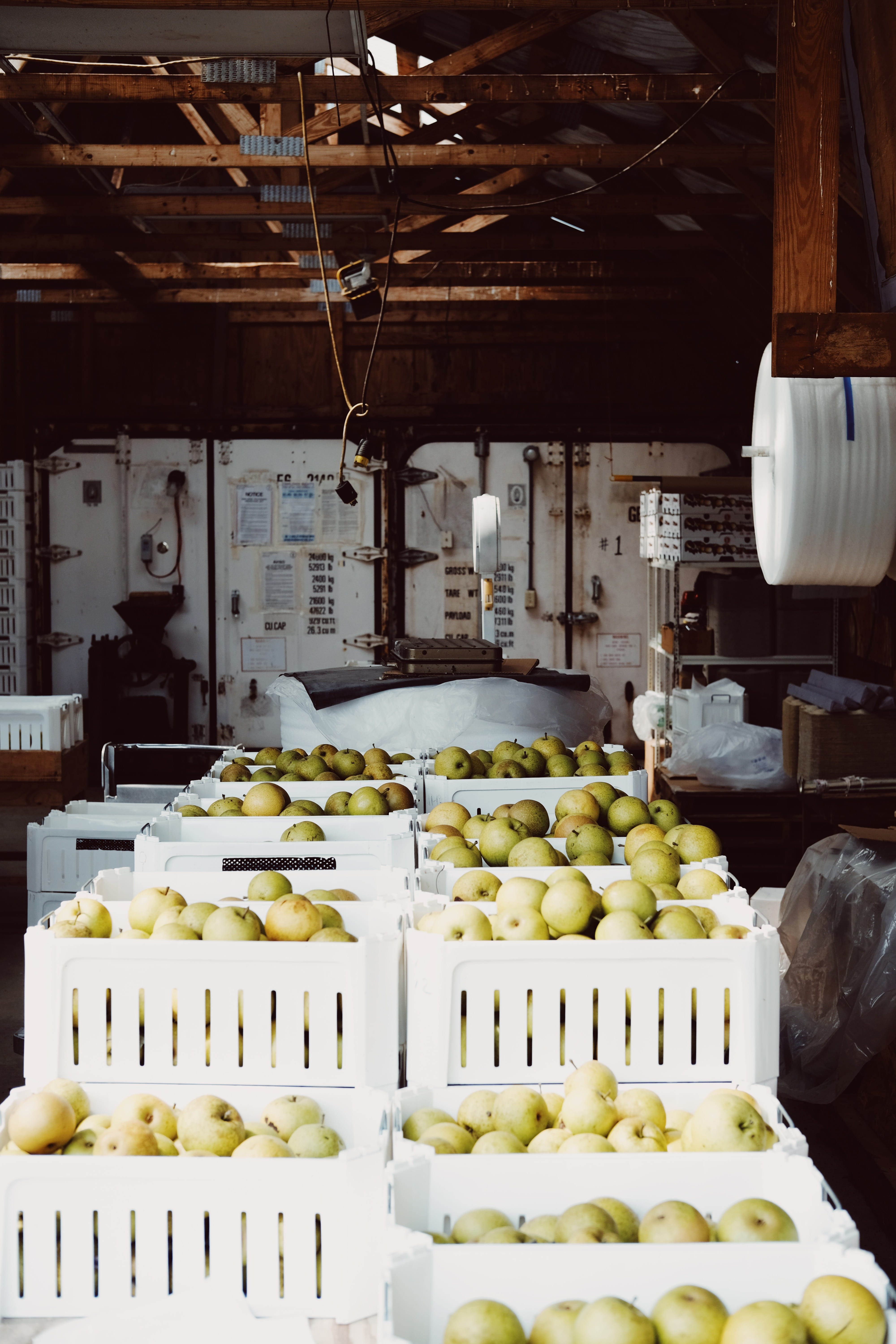 healthy eating, 5K, tray, lot, apple picking, green, abundance, apple juice, food and drink, freshness, day, fruit, box, orchard, plastic, architecture, Phone HD Wallpaper