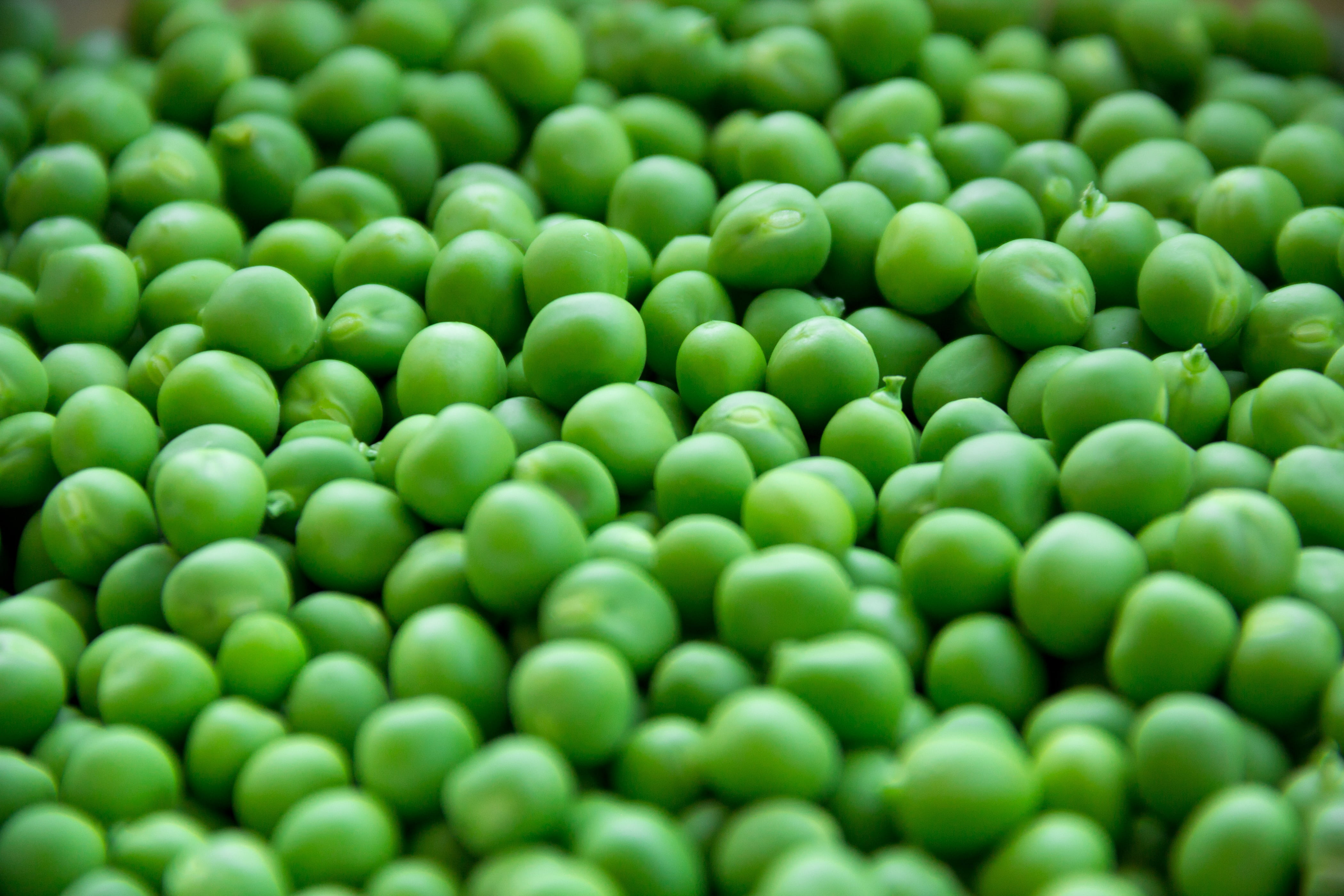 vegetables, large group of objects, healthy, food and drink, abundance, legume family, fresh, close-up, backgrounds, seed, natural, peas, sweet, industry, HD Wallpaper