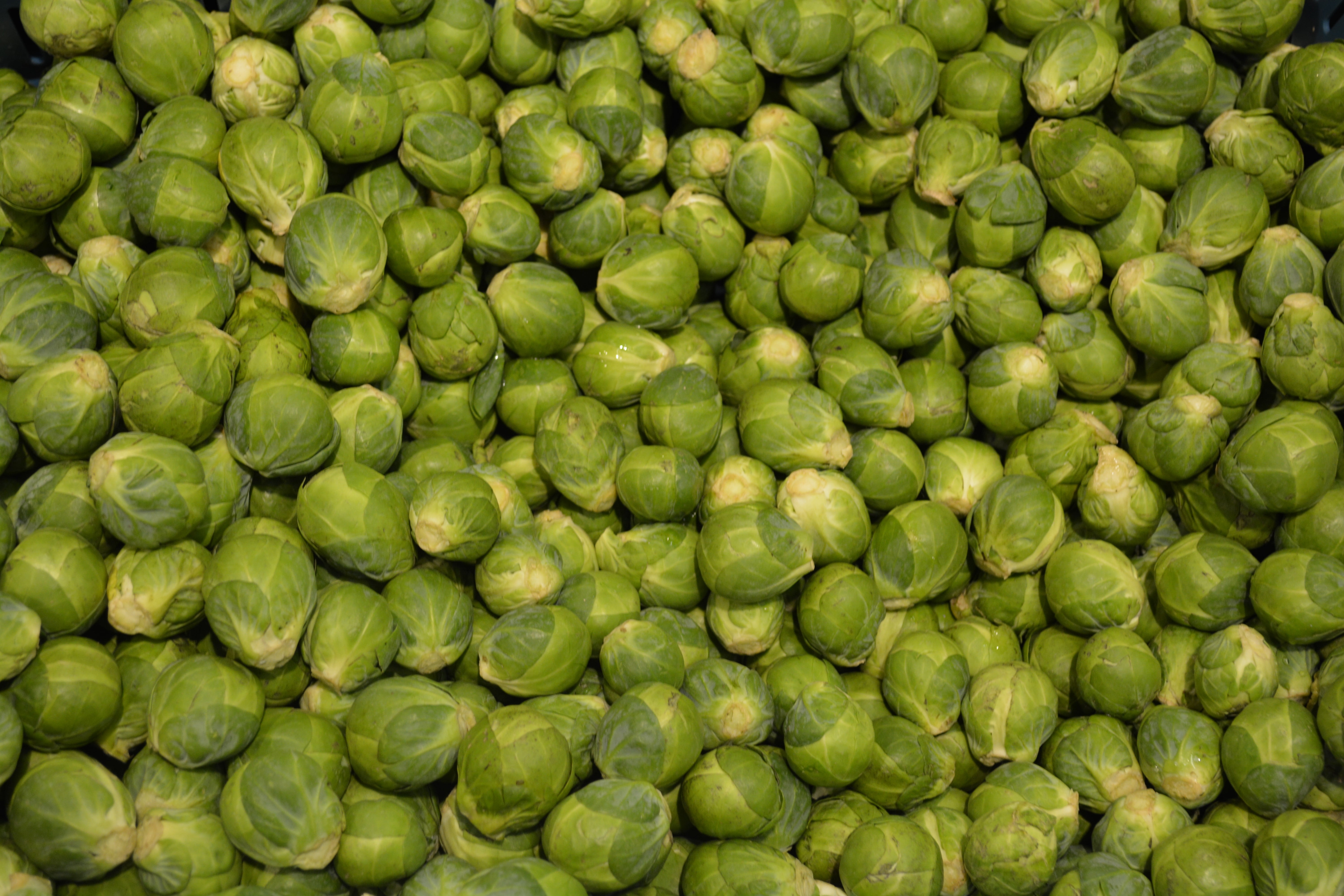 large group of objects, food processing plant, business, green, food and drink, abundance, food, wellbeing, backgrounds, raw food, organic, close-up, ripe, HD Wallpaper