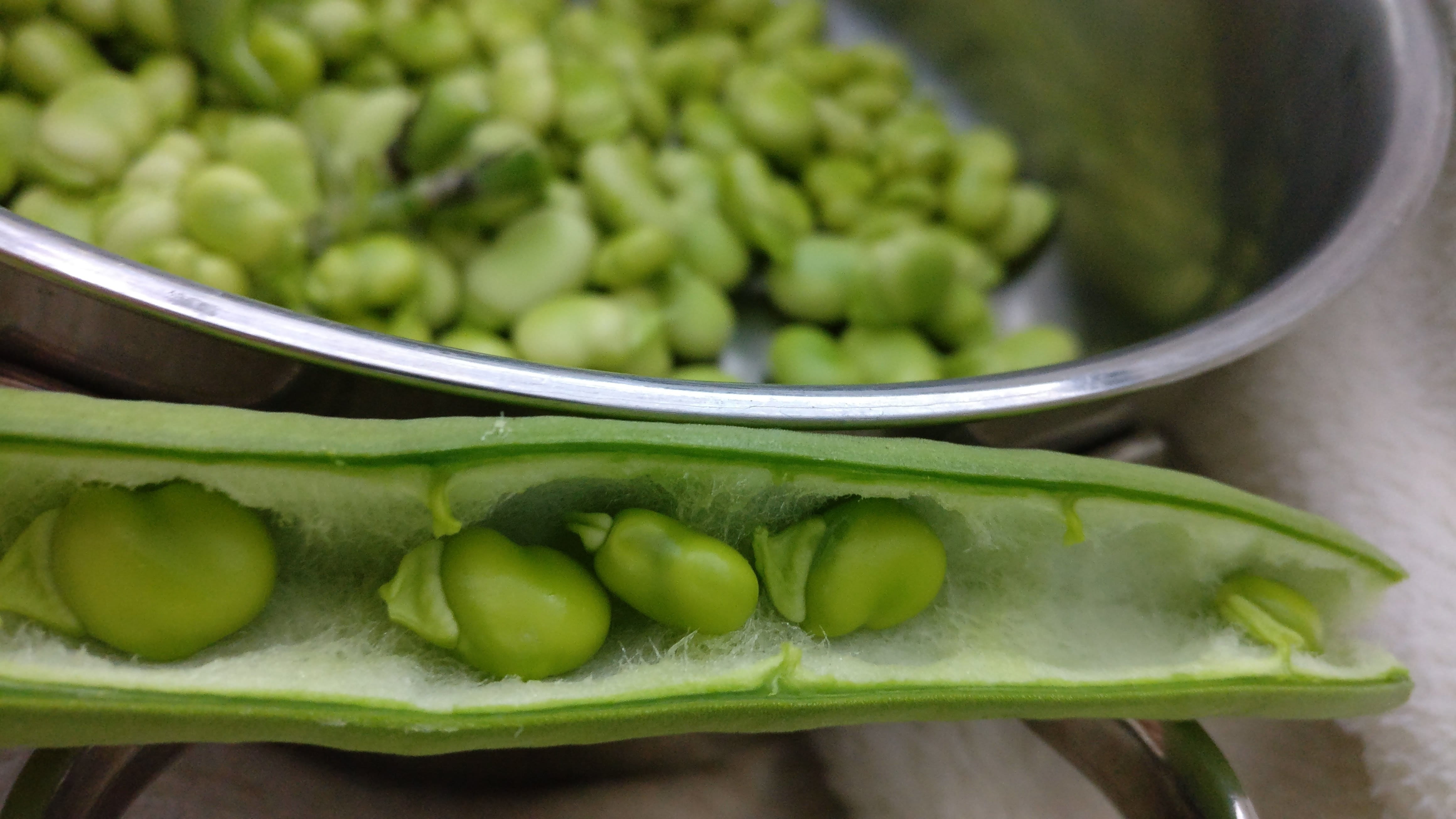 food processing plant, wellbeing, healthy lifestyle, brussels sprout, vegan, no people, nutrition, green, large group of objects, selective focus, food, HD Wallpaper