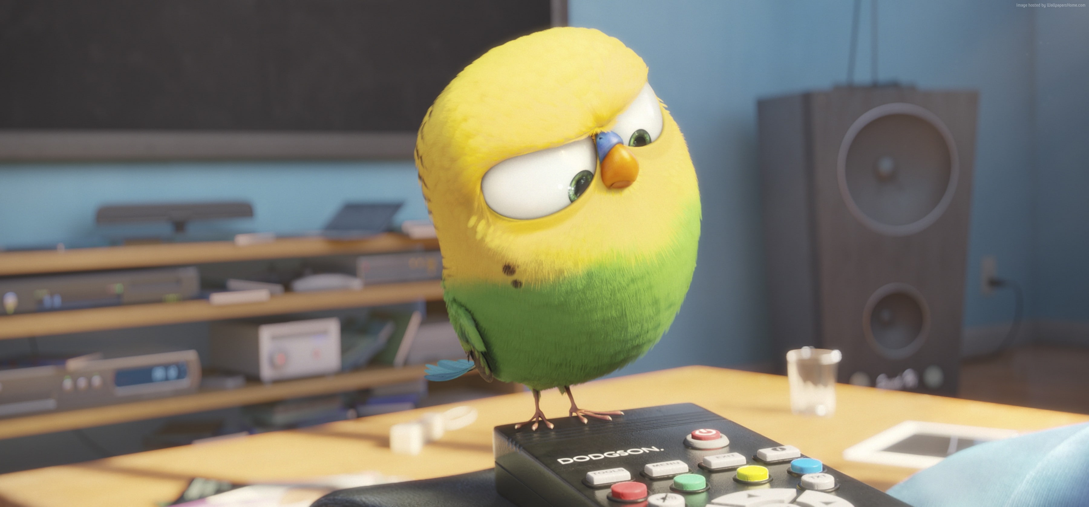 cartoon, 2K, The Secret Life of Pets, Best Animation Movies of 2016, HD Wallpaper