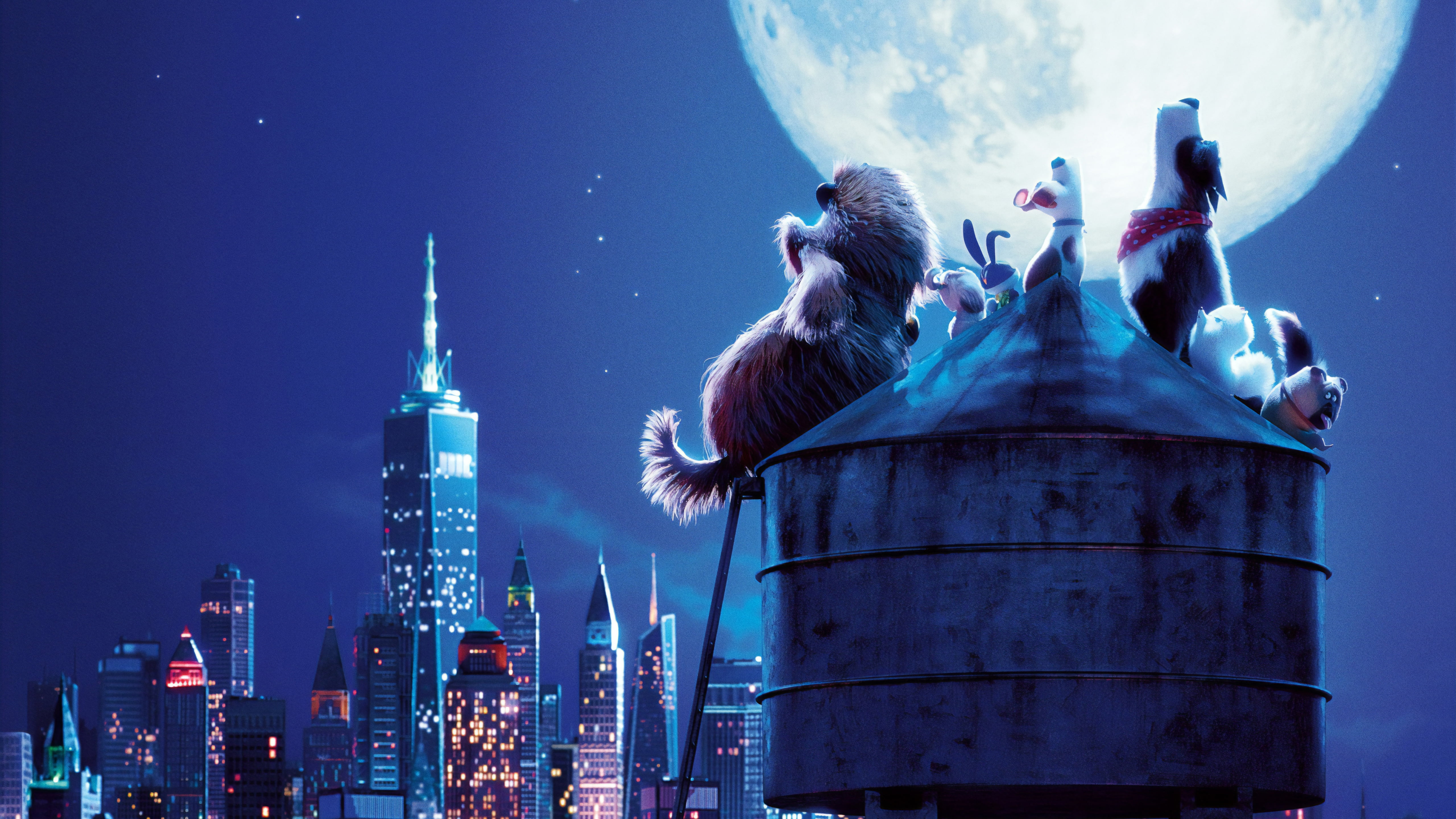 5K, The Secret Life of Pets 2, Movie, HD Wallpaper