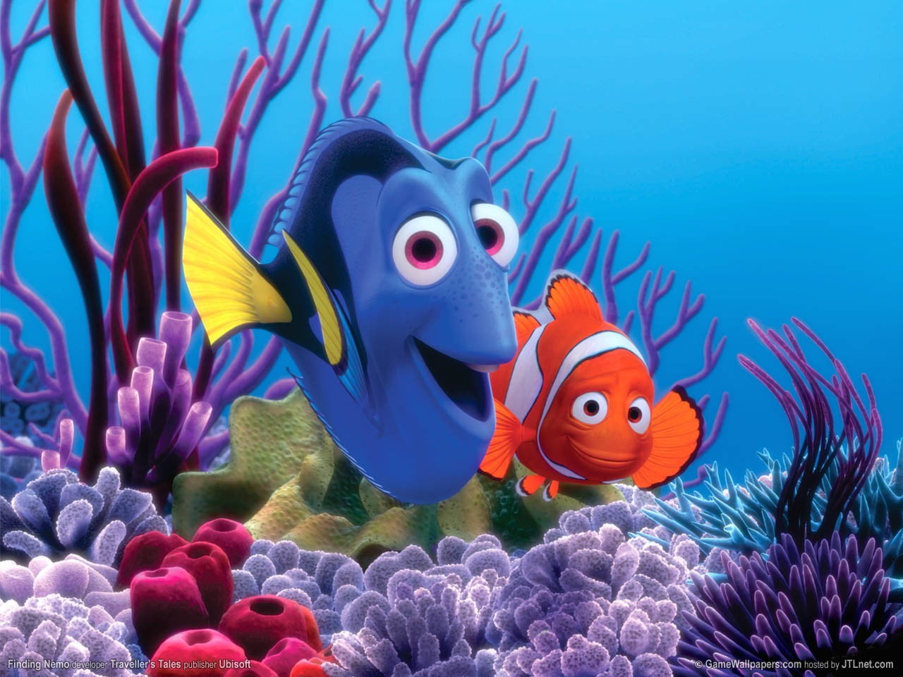 no people, anemonefish, red, reef, Nemo, tropical Fish, wildlife, animal themes, animal, coral, backgrounds, marine, blue, swimming, animals in the wild, HD Wallpaper
