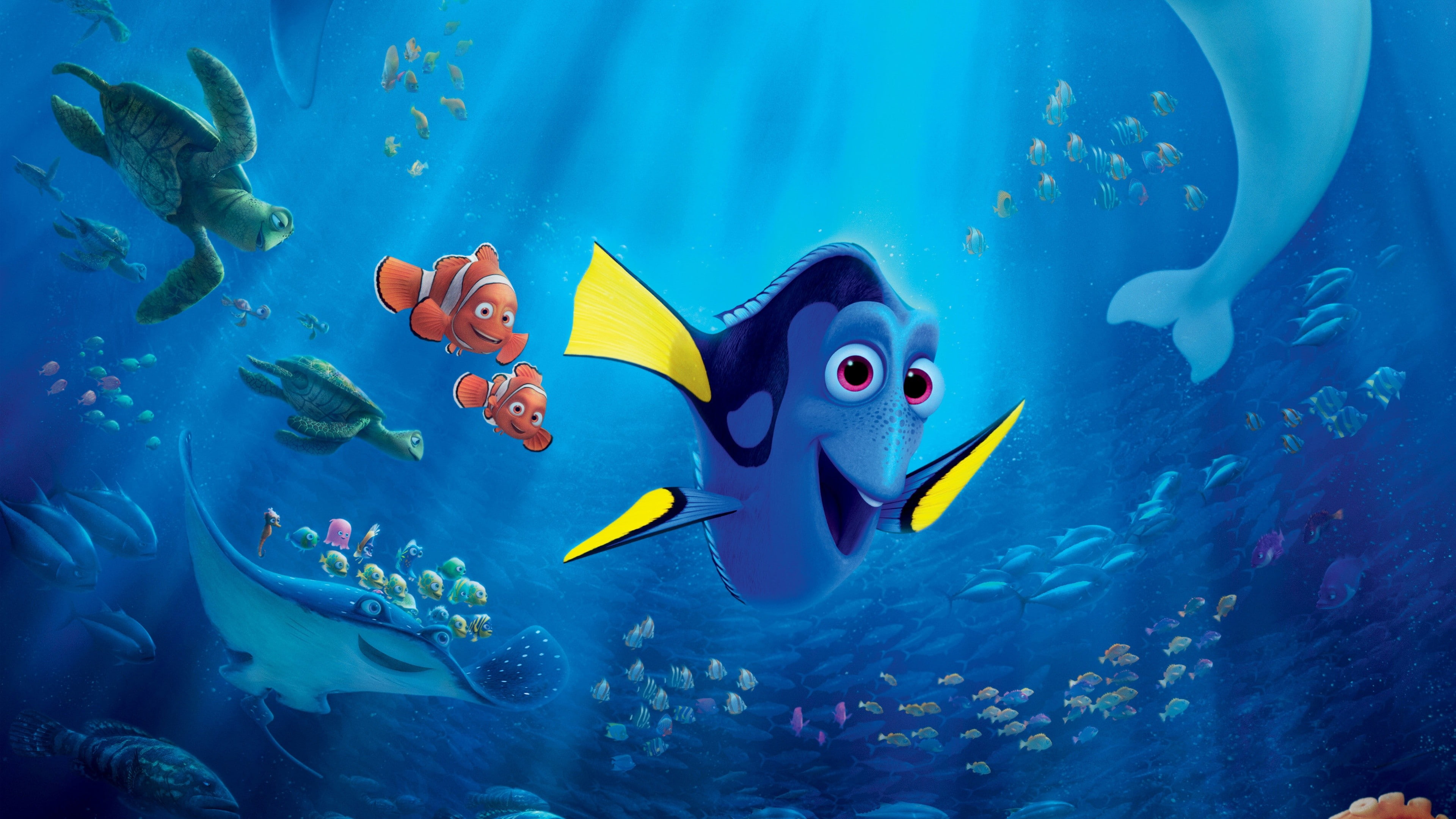 4K, shark, Finding Dory, Pixar, fish, animation, nemo, HD Wallpaper