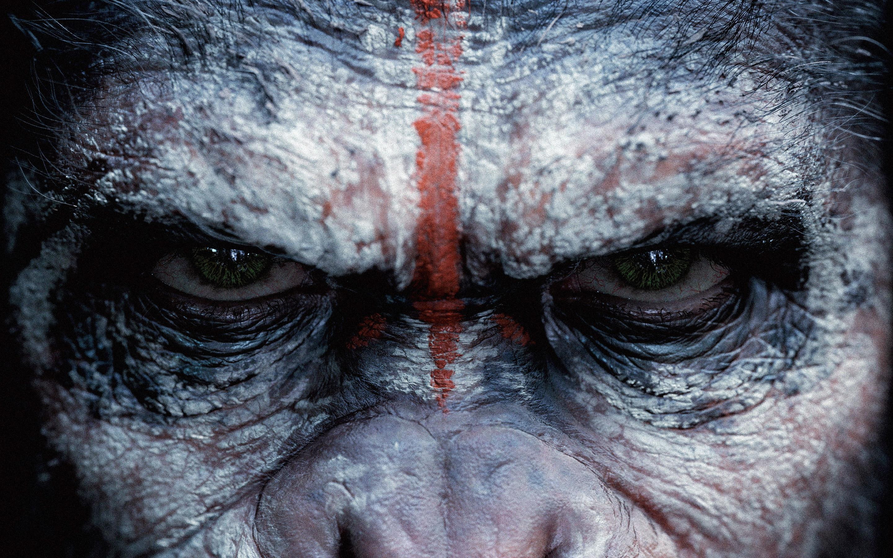 apes, planet, dawn, 2K, HD Wallpaper