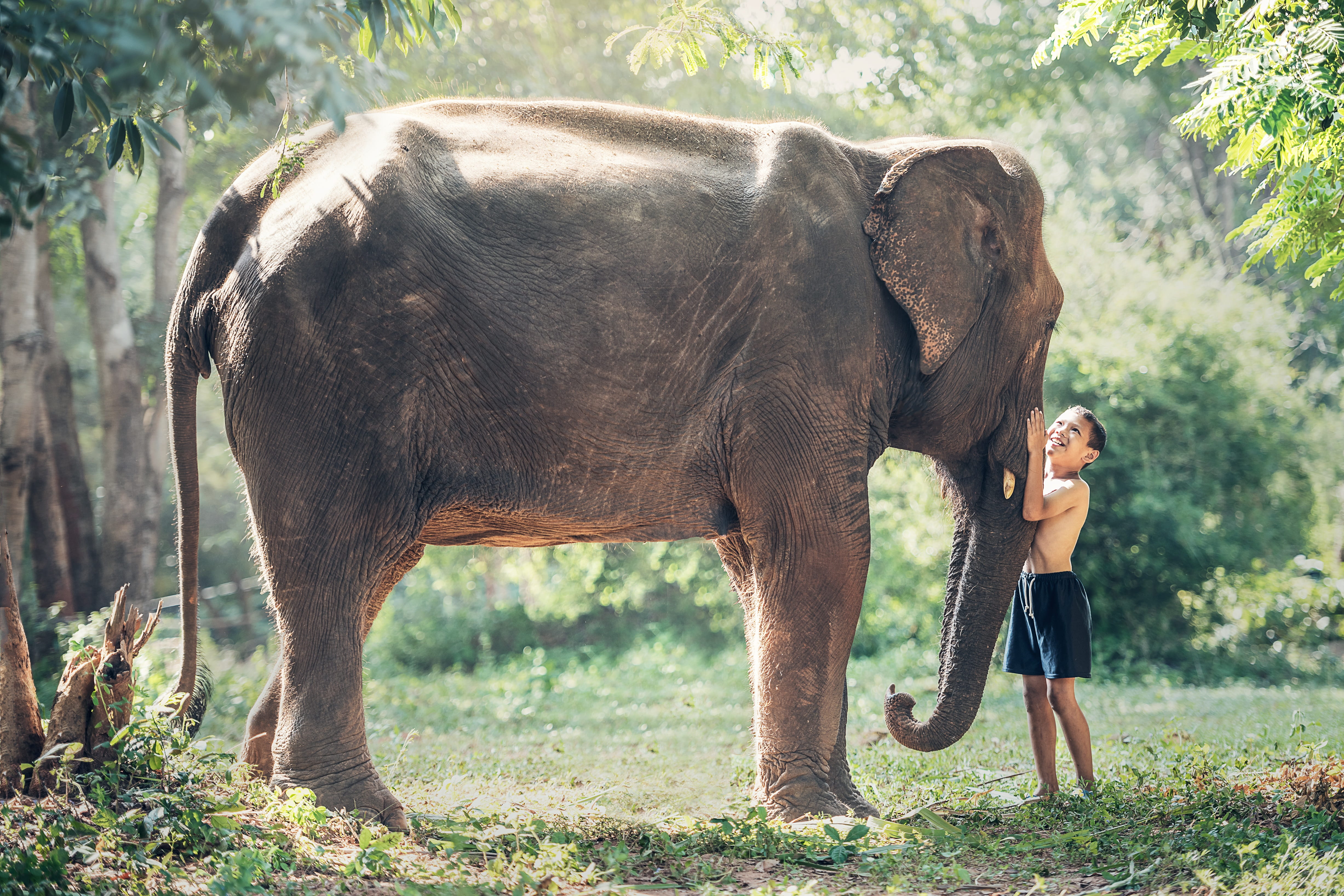 ivory, power, holding, boy, grass field, nose, field, nature, shorts, s, conservation, the rough, friendship, land, full length, plant, outdoors, strong, HD Wallpaper